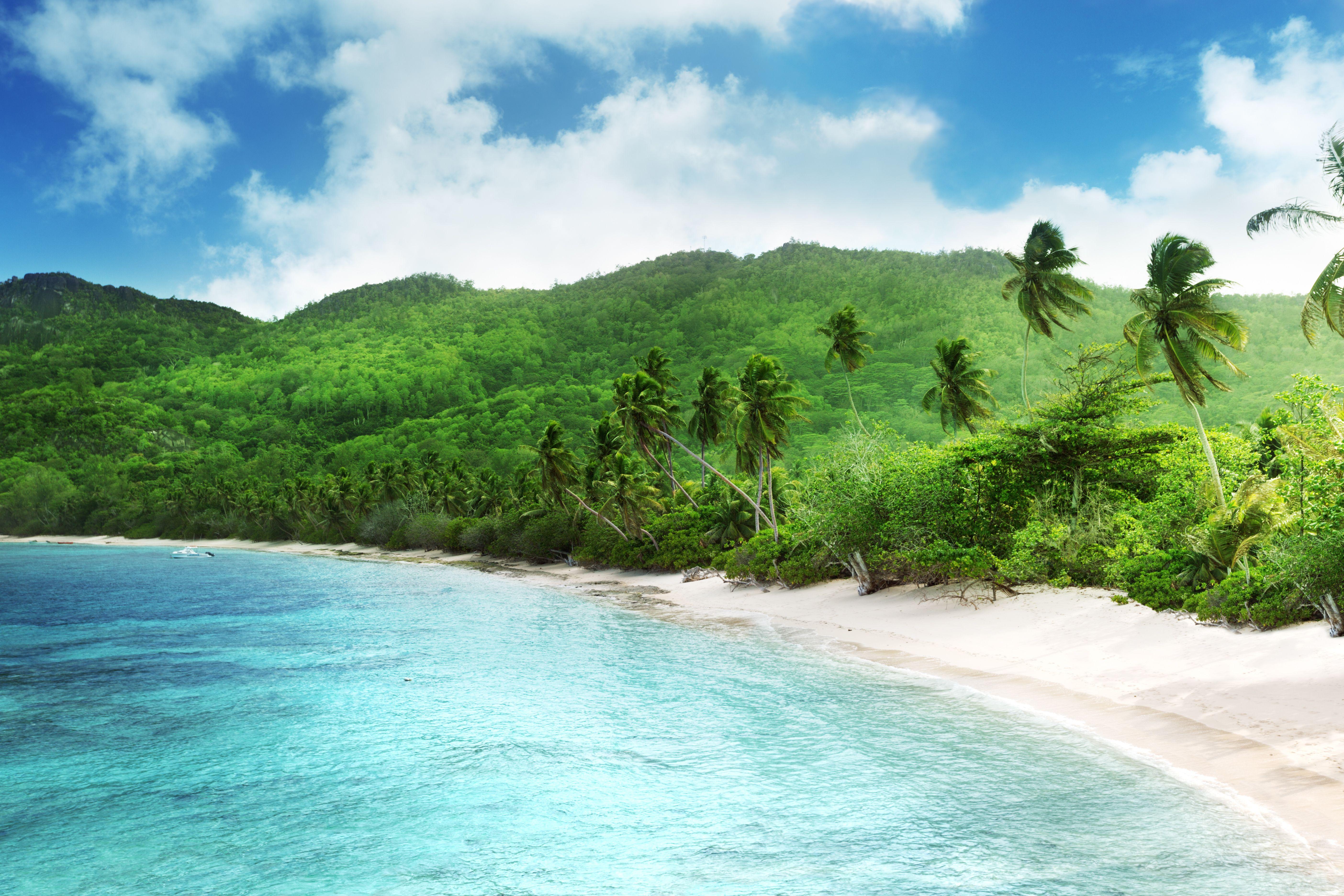5616x3744 Wallpaper. Sammer. photo. picture. summer, island, summer, palm trees, jungle