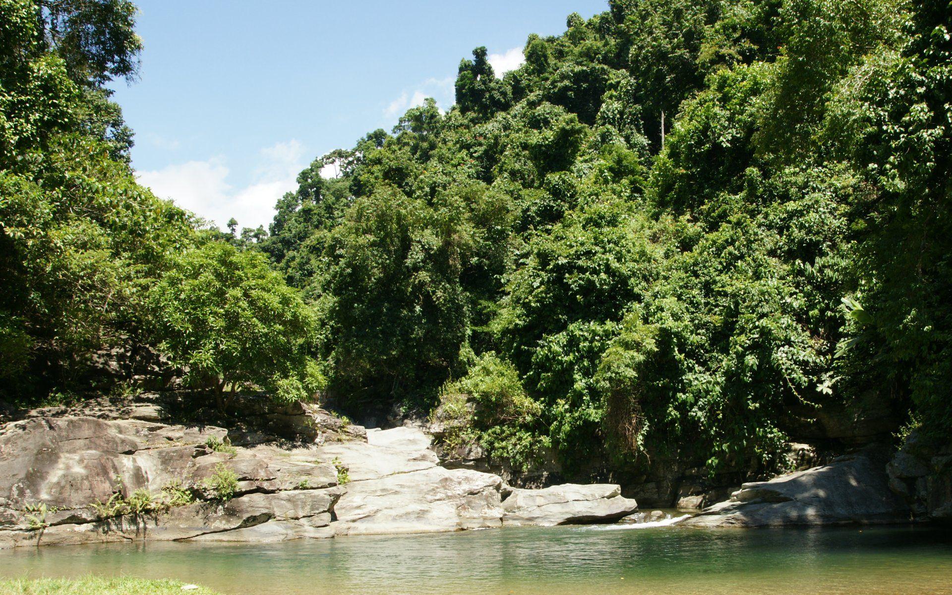 1920x1200 Wallpaper, jungle, vegetation, widescreen, nature, river, tukuran, paradise