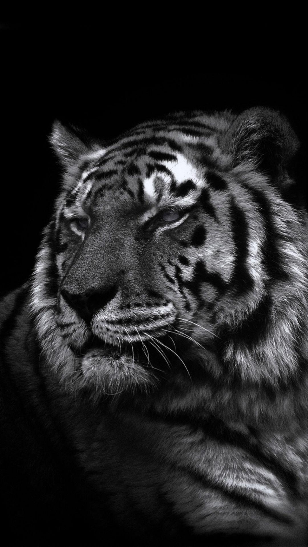 1080x1917 Cool Animal iPhone Wallpaper