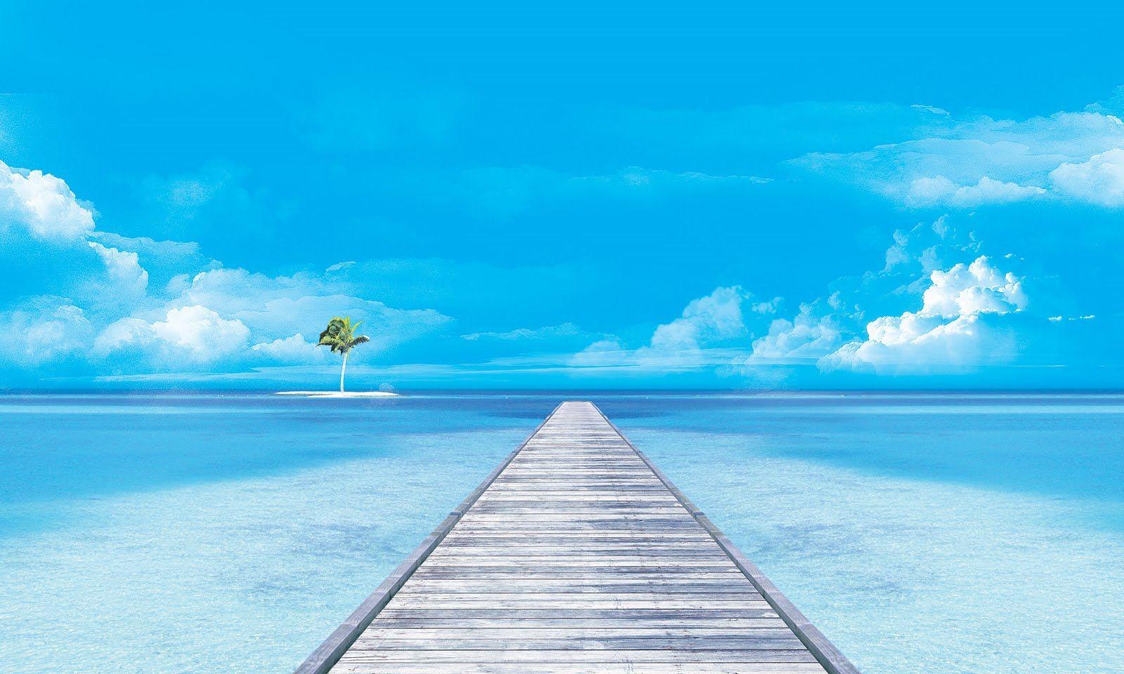 1600x960 Sea Wallpaper. Sea Dinosaurs Wallpaper, Interesting Sea Horse Wallpaper and Undersea Wallpaper