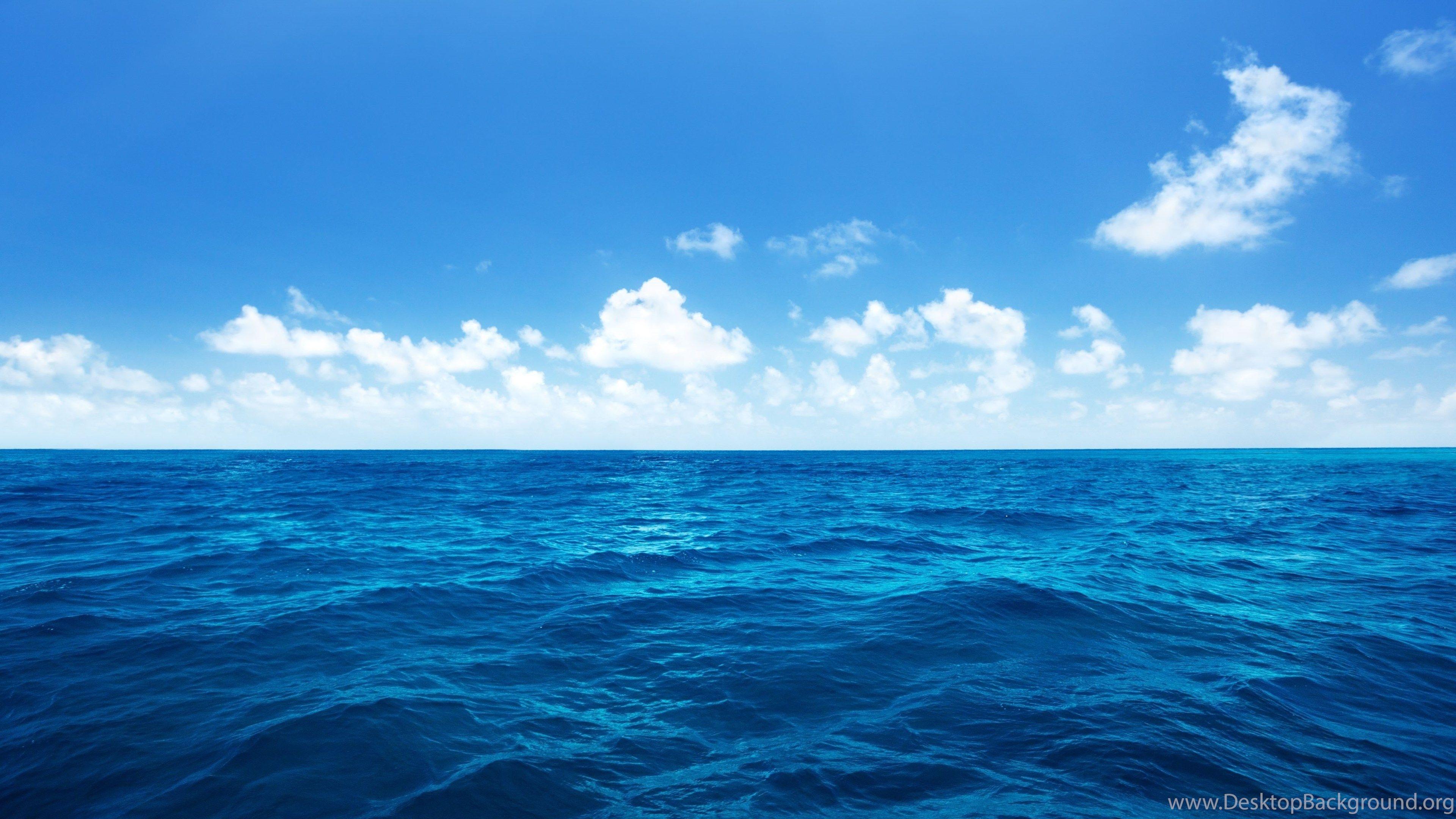 Открытые воды океана
