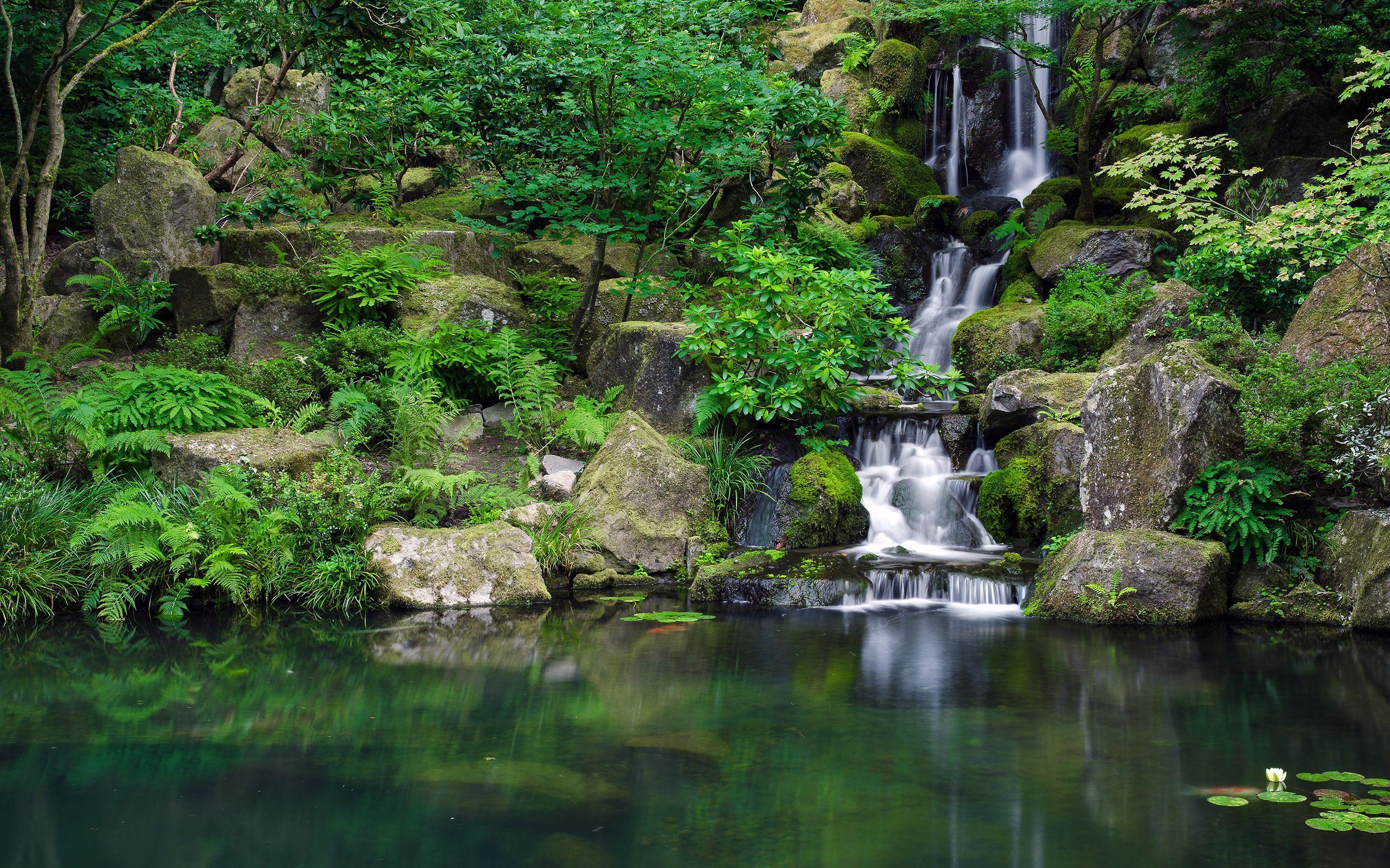 2880x1800 Waterfall_Jungle_Forest_Pond_trees_reflection. Portland japanese garden, Waterfall wallpaper, Waterfall