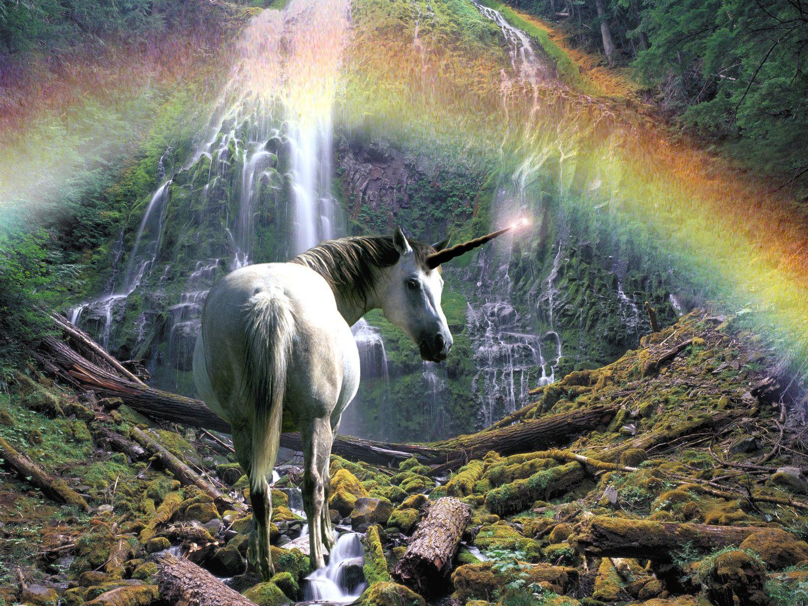 1600x1200 Wallpaper rainbow, horse, unicorn, falls, waterfall desktop wallpaper Animals