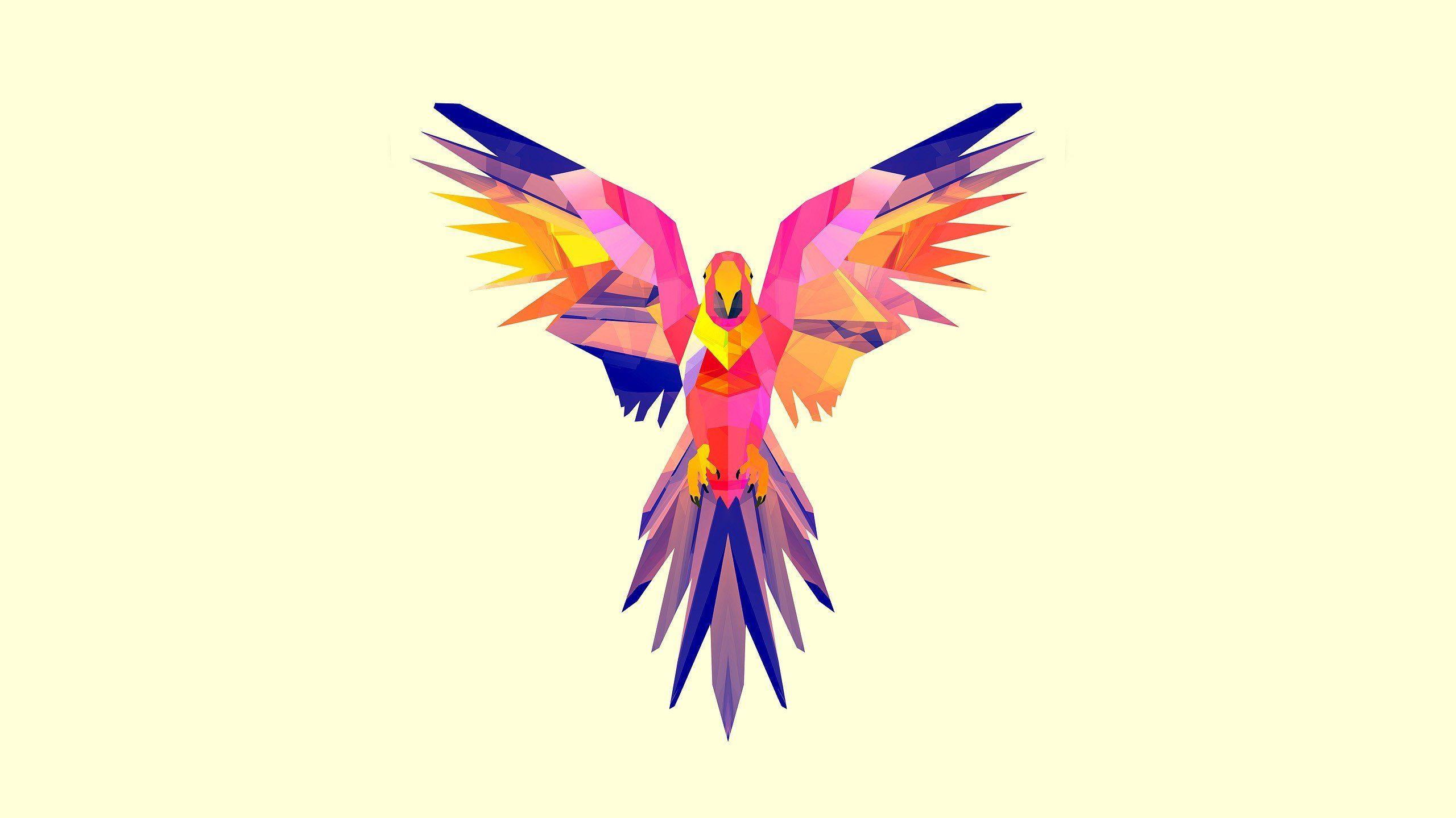 2560x1440 Abstract Animals Birds Digital Art Justin Maller Parrots Vectors