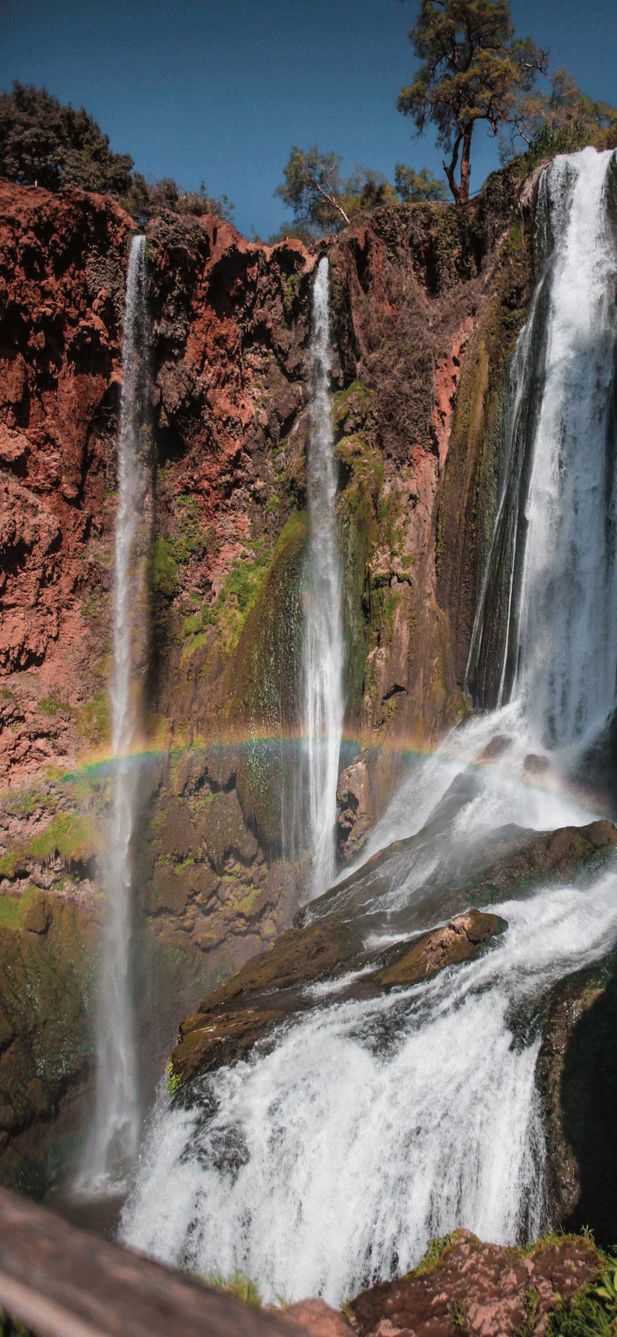 1242x2688 Rainbow Wallpaper for iPhone Pro Max, X, 6