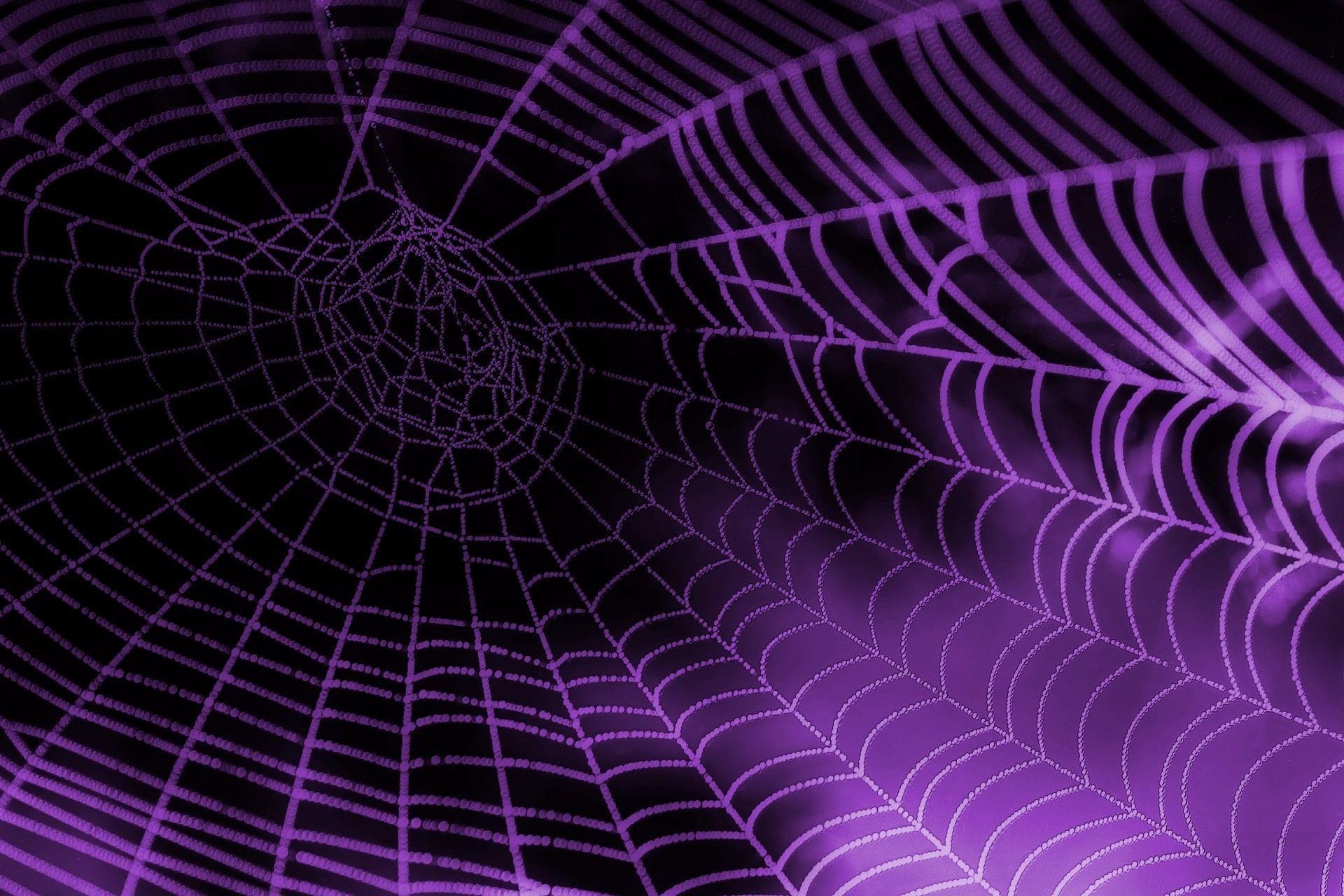 Spider Web Wallpapers - Top Free Spider Web Backgrounds - WallpaperAccess