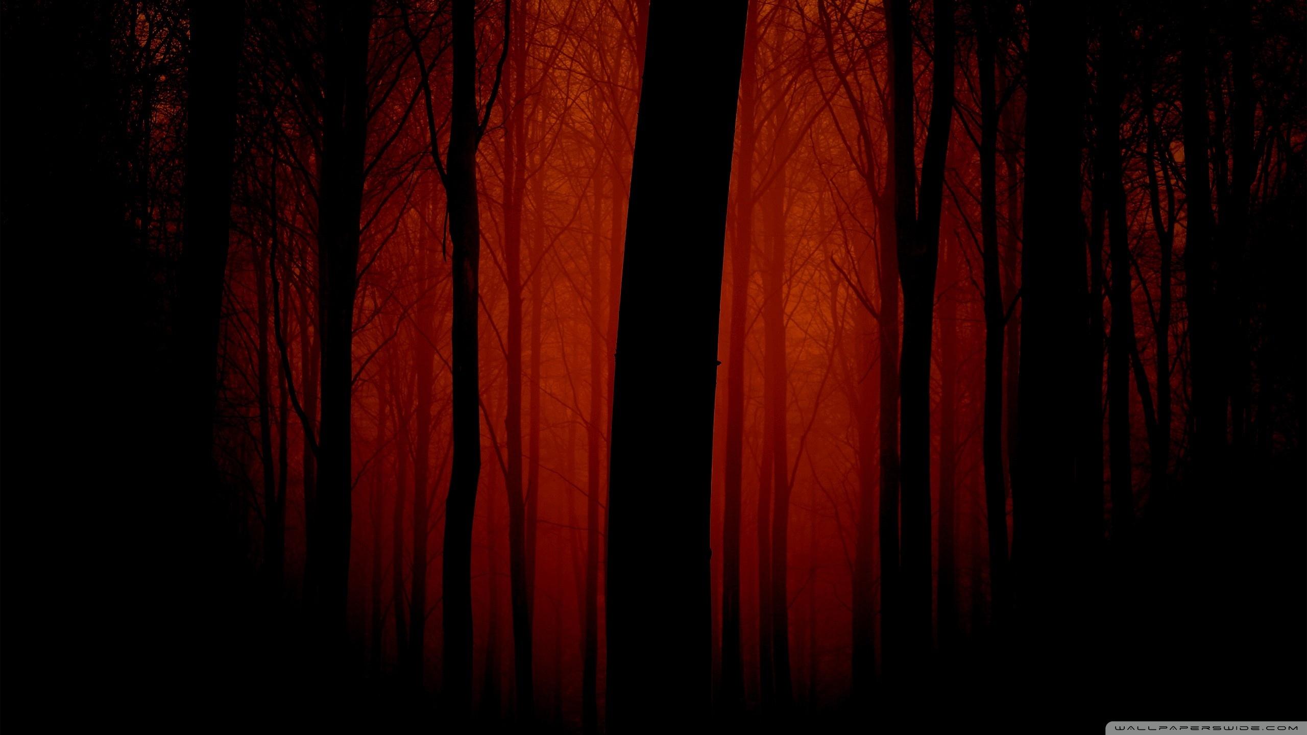 2560x1440 Bloody Wallpaper