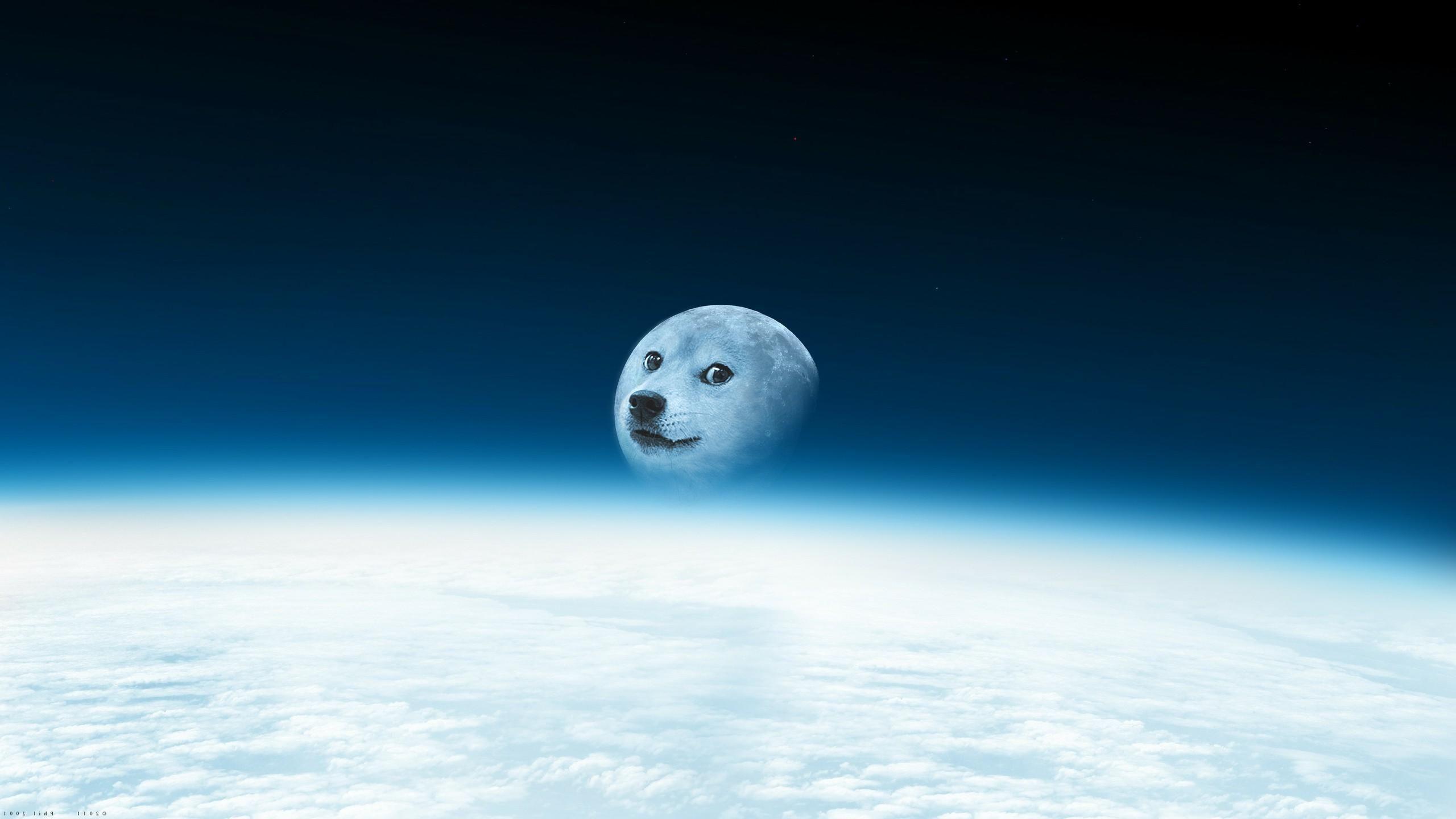 2560x1440 Doge Meme Wallpaper 2560x1440