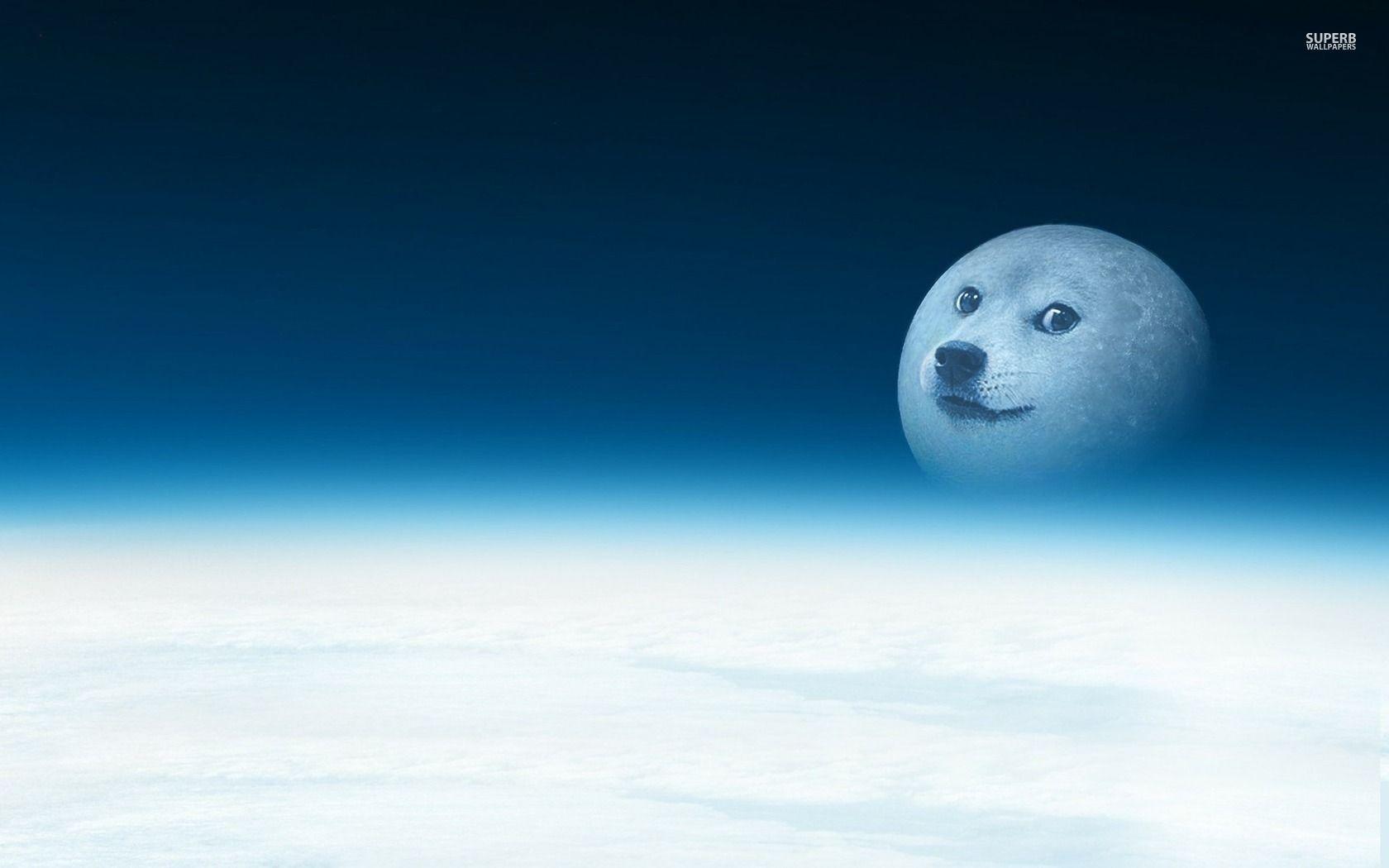 Doge Meme Wallpapers Top Free Doge Meme Backgrounds Wallpaperaccess