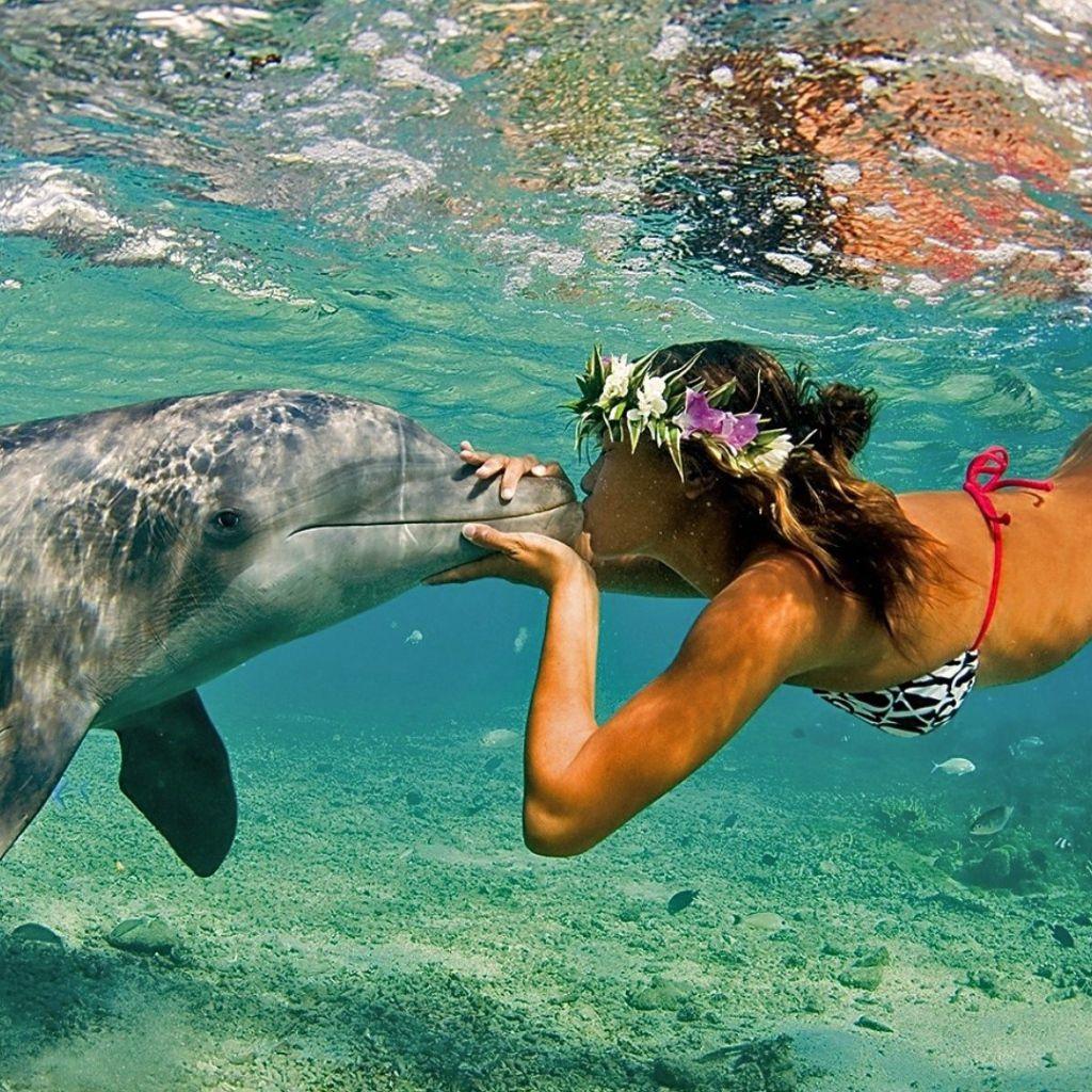 1024x1024 Girl and dolphin underwater, Hawaii Desktop wallpaper 1024x1024