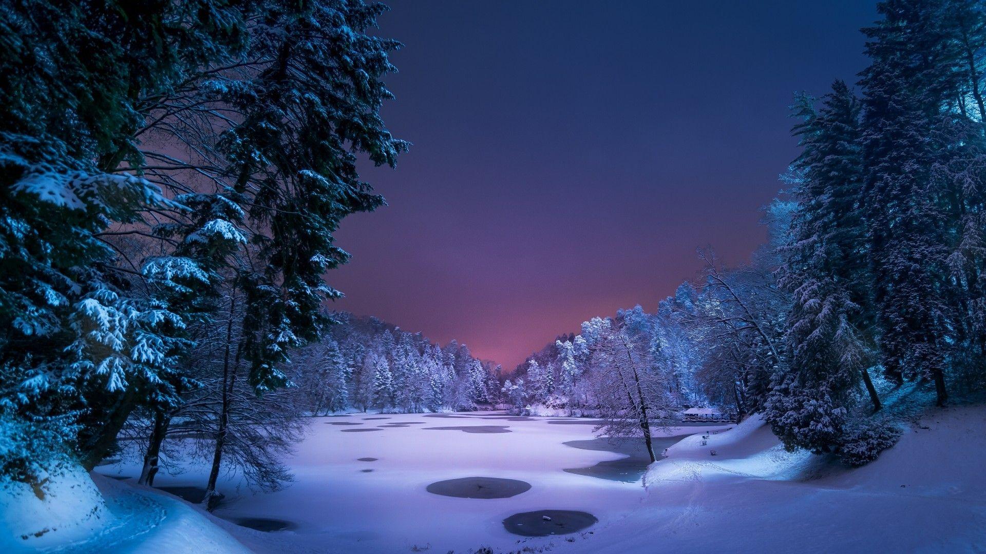 1920x1080 Free download 73 Winter Forest Wallpaper [1920x1080] for your Desktop, Mobile & Tablet. Explore Winter Forest Wallpaper Night. Winter Forest Wallpaper Night, Night Forest Wallpaper, Winter Forest Wallpaper