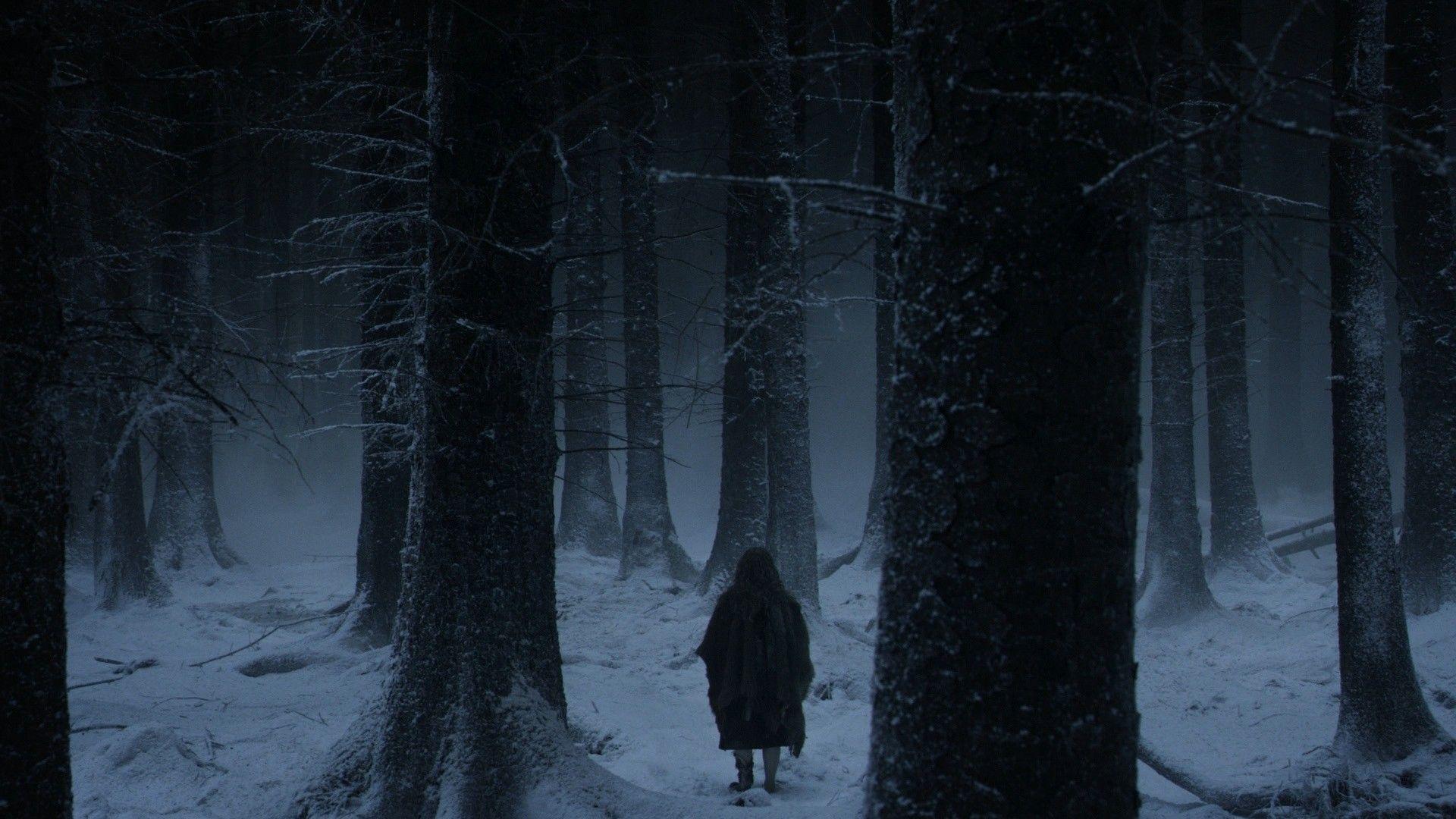Полна тайн сумрачная. Страшный зимний лес. Страшная зима. Страшный лес ночью. Мрачный зимний лес.
