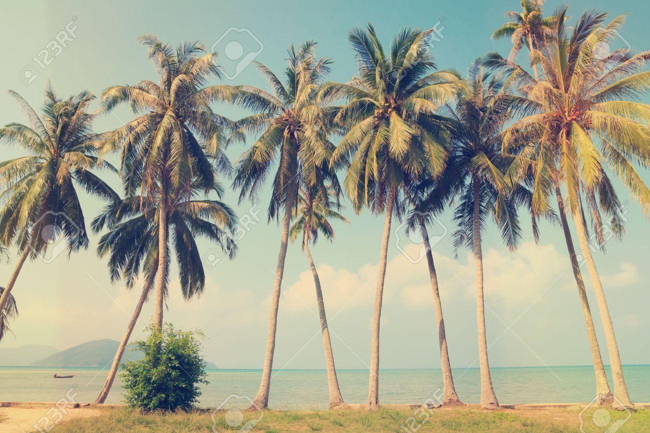 1300x866 Tropical Vintage Beach Wallpaper