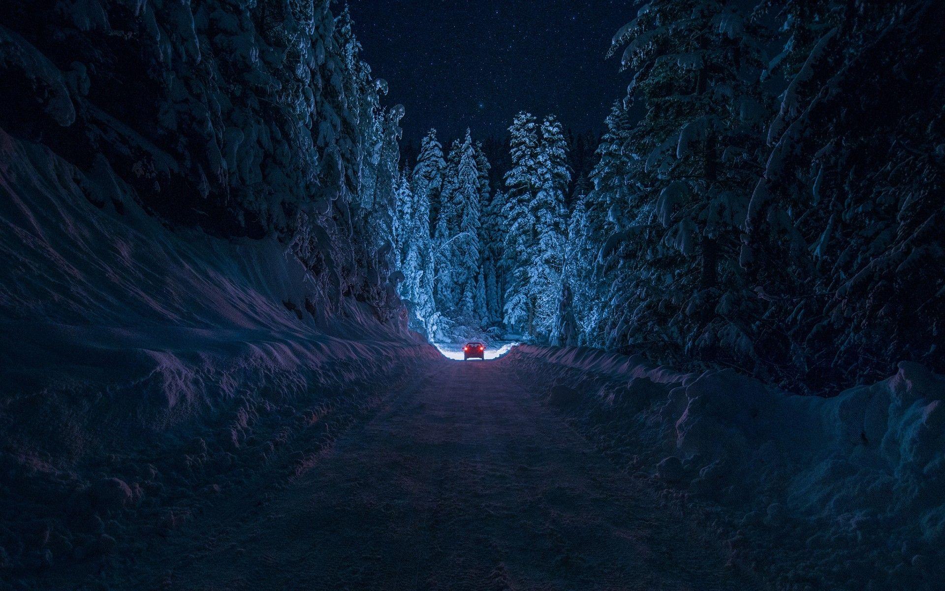 1920x1200 #night, #snow, #path, #forest, #winter, #nature, wallpaper. Mocah.org HD Wallpaper