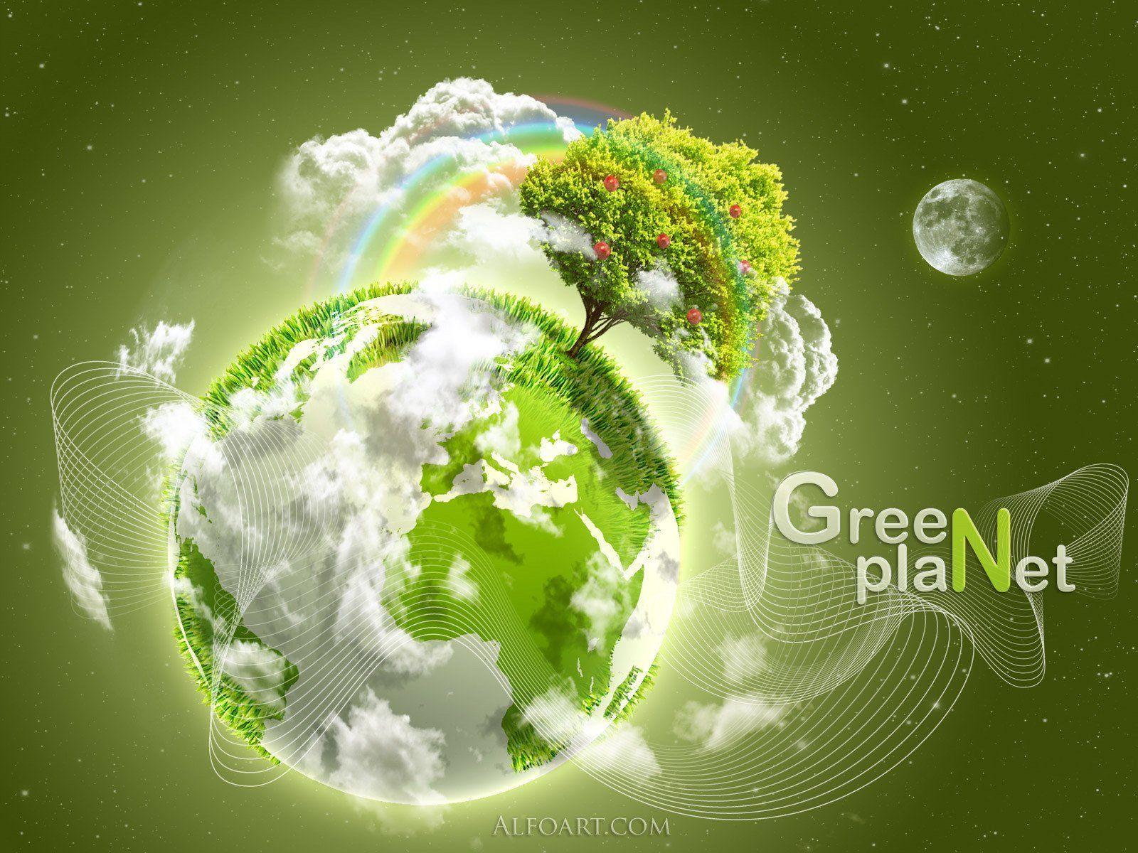 Save environment HD wallpapers  Pxfuel