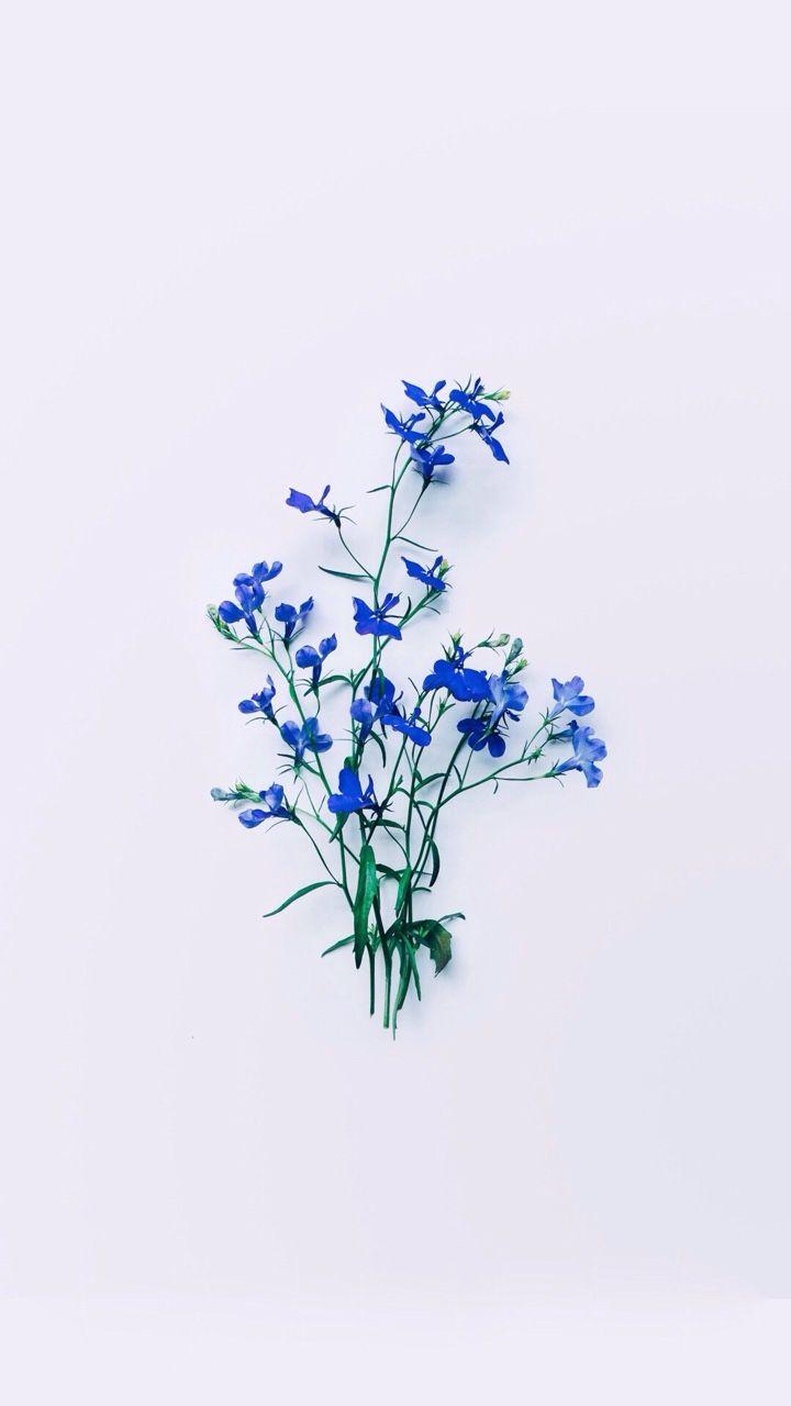 720x1280 Aesthetics Blue Drawn Flower Wallpaper