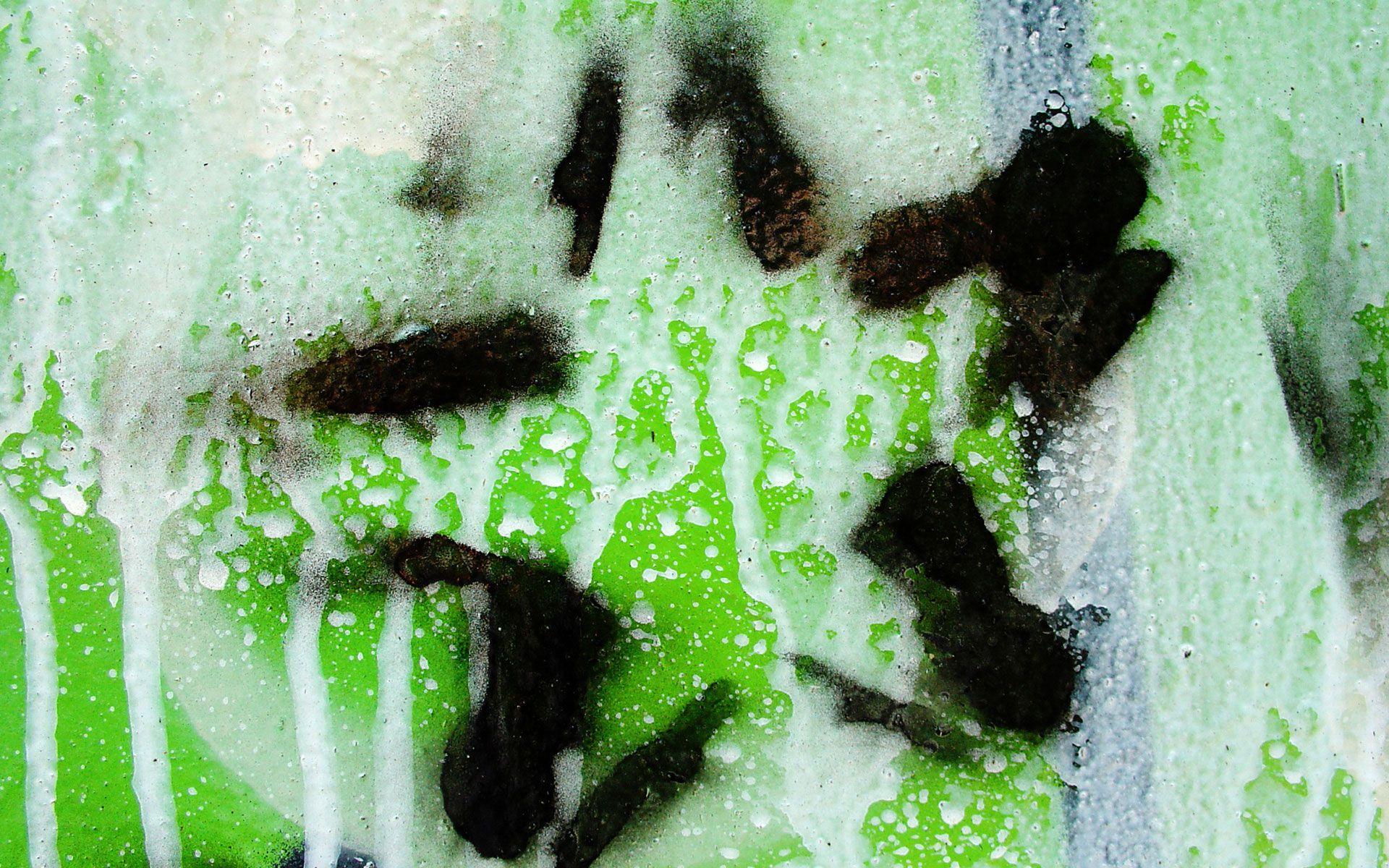 1920x1200 Green Wallpaper, Picture, Image