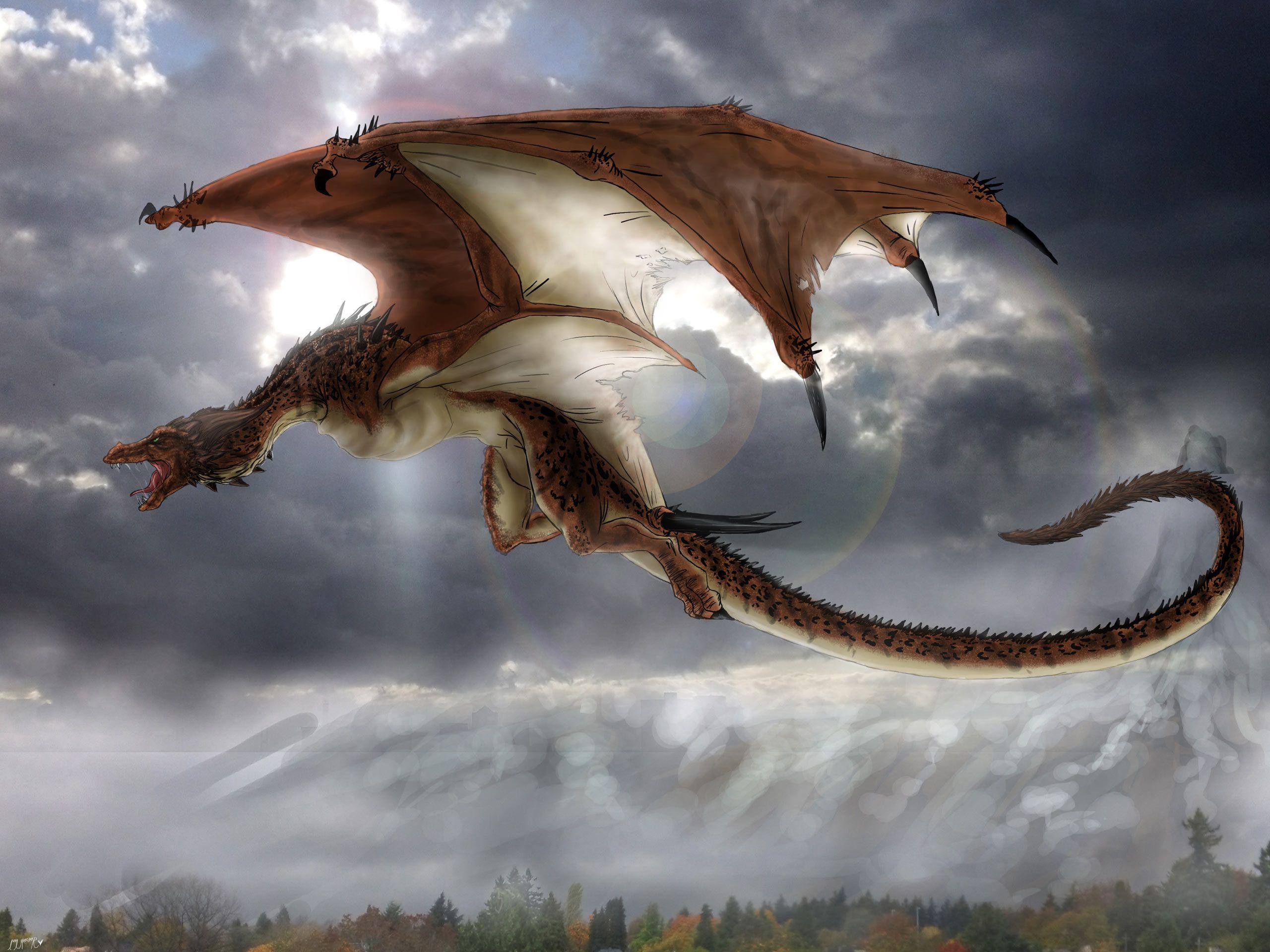 2560x1920 Flying Dragon Wallpaper