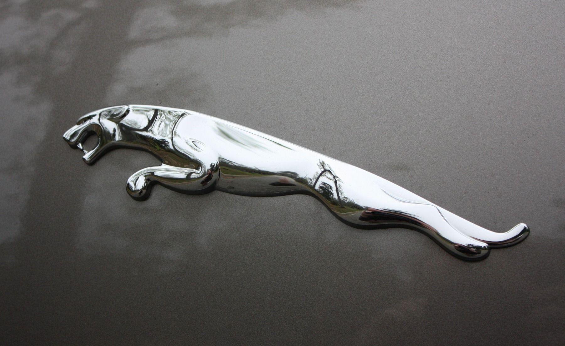 1800x1103 Jaguar Logo Wallpaper