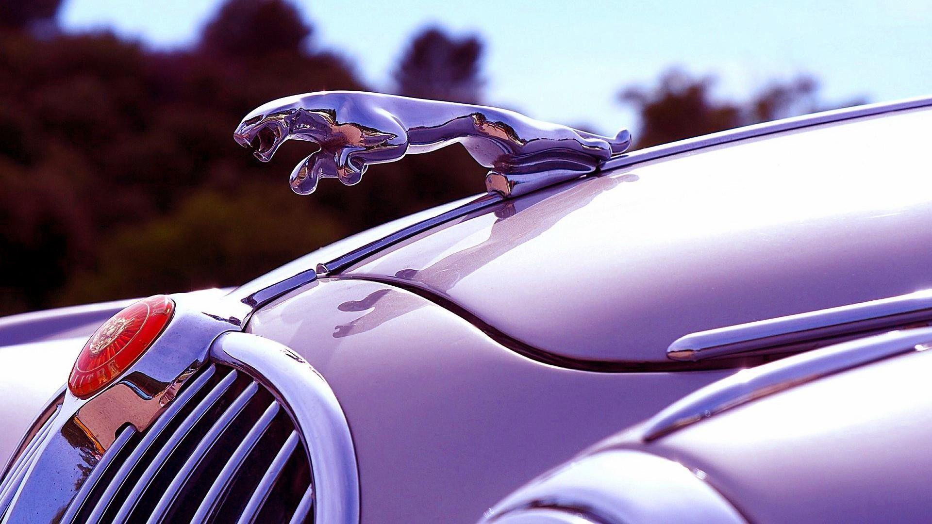1920x1080 Jaguar Logo Wallpaper