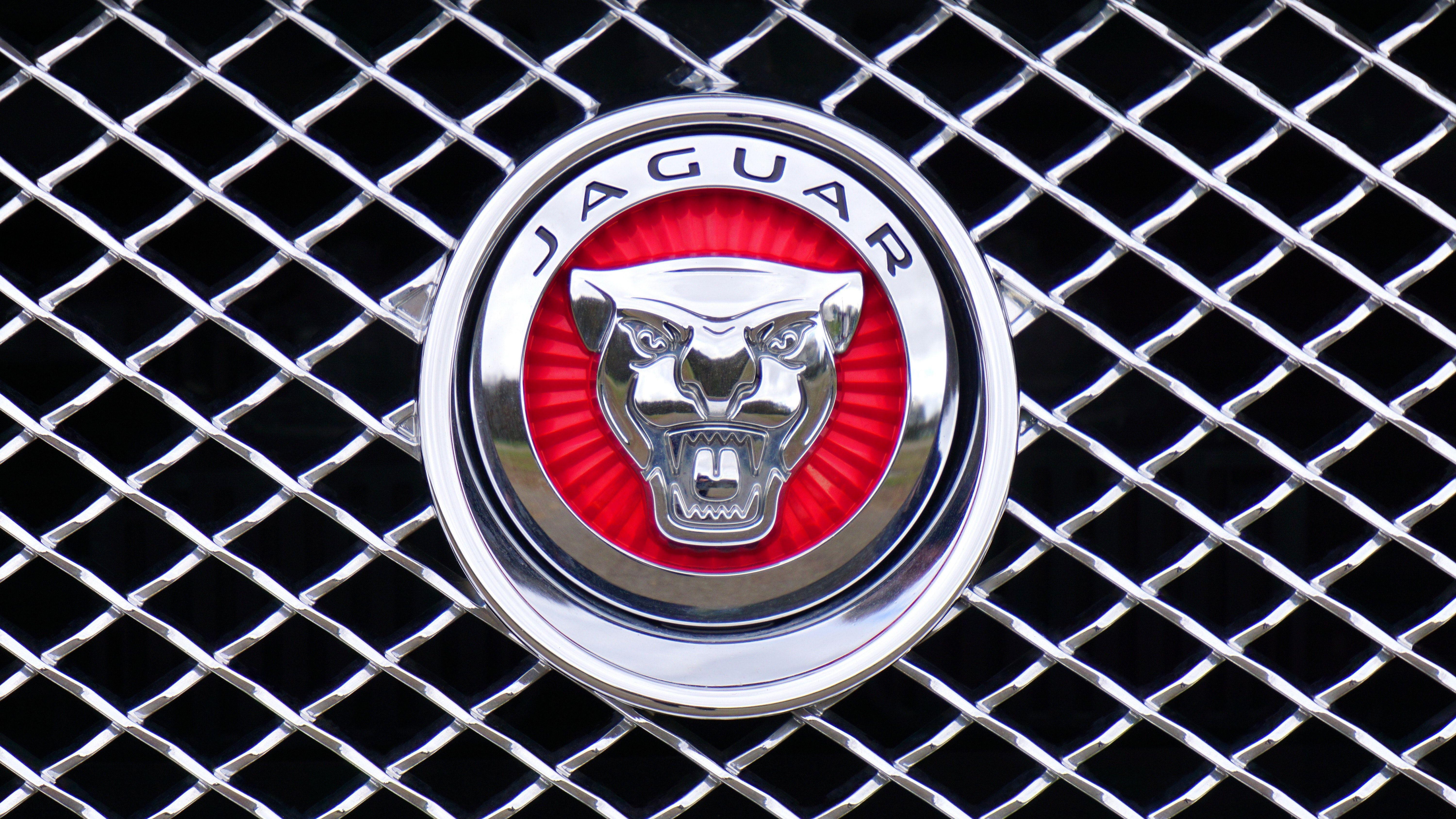 6000x3376 Jaguar Emblem · Free