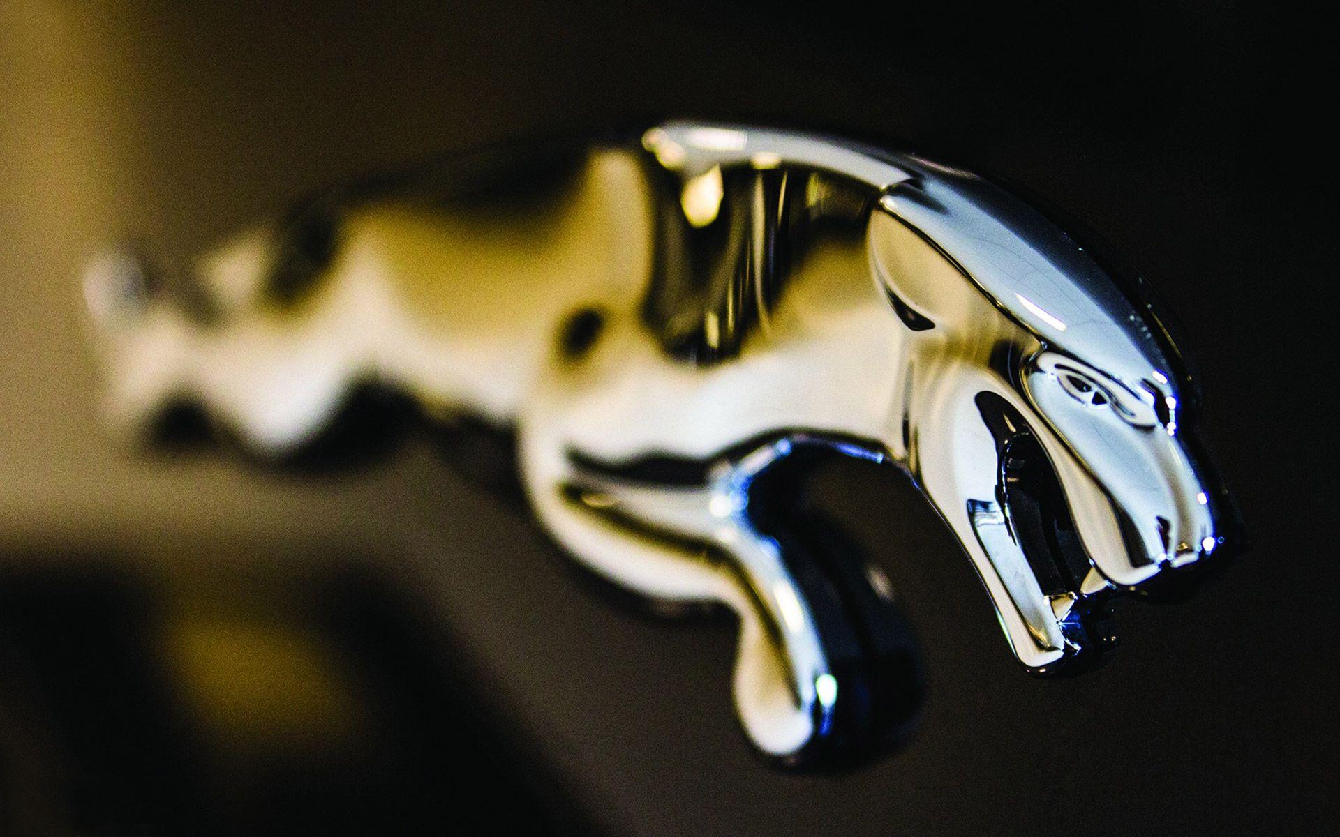 Jaguar Car Logo Wallpapers - Top Free Jaguar Car Logo Backgrounds ...
