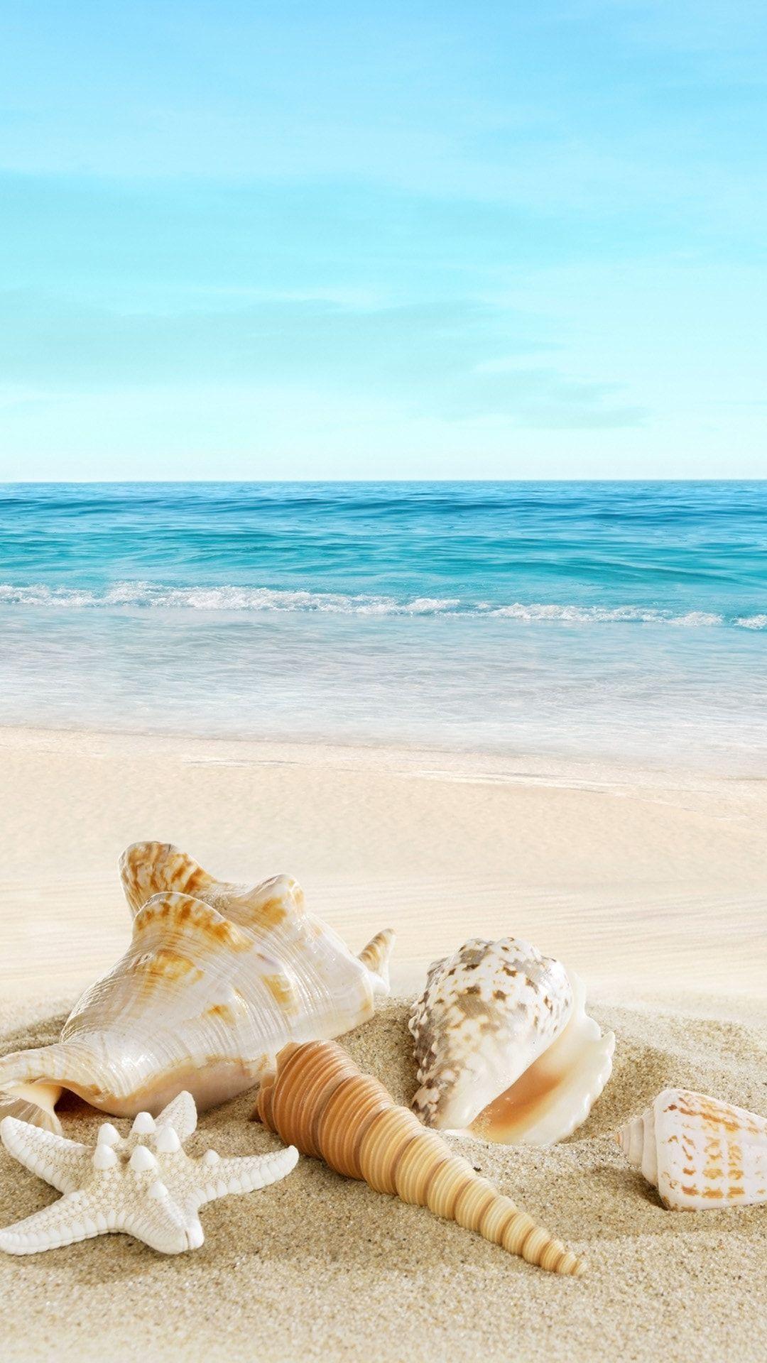 1080x1920 Seashells on the beach