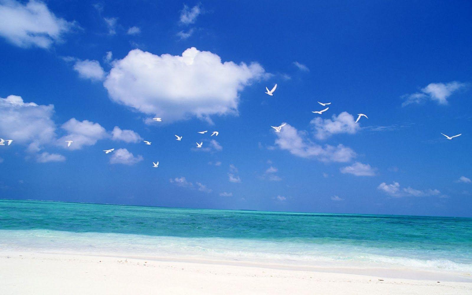 1600x1000 Beautiful Nature Image And Wallpaper: Sky Beach. Beautiful Nature Image And Wallpaper