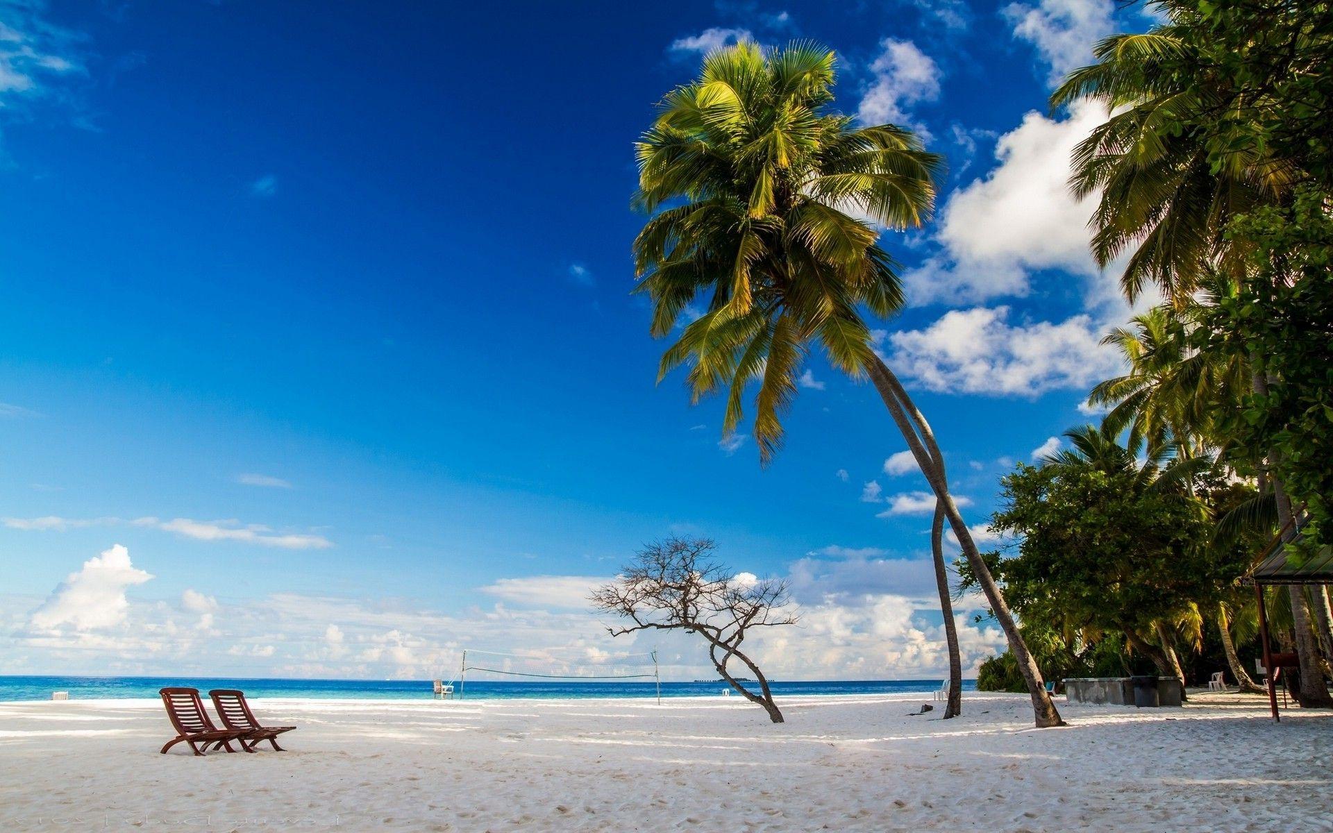 1920x1200 beach, Chair, Morning, Nature, Palm Trees, White, Sand, Blue, Sky, Tropical, Landscape, Maldives, Island, Sea Wallpaper HD / Desktop and Mobile Background