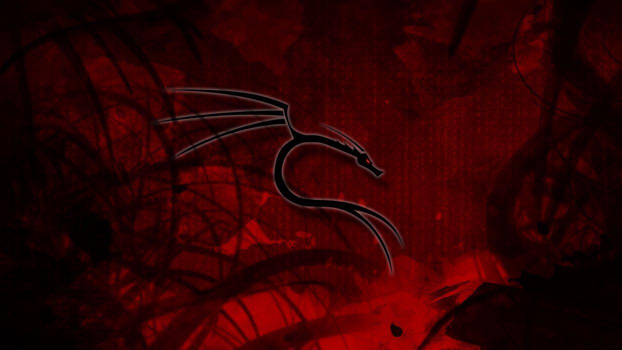Kali Wallpapers Top Free Kali Backgrounds WallpaperAccess