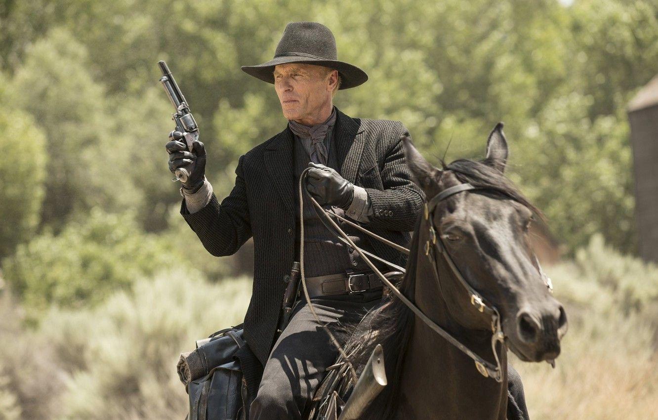 1332x850 Wallpaper weapons, horse, frame, hat, gloves, the series, cowboy, revolver, Western, TV Series, Ed Harris, Westworld, The World Of The Wild West, Ed Harris, The Man in Black image for desktop, section