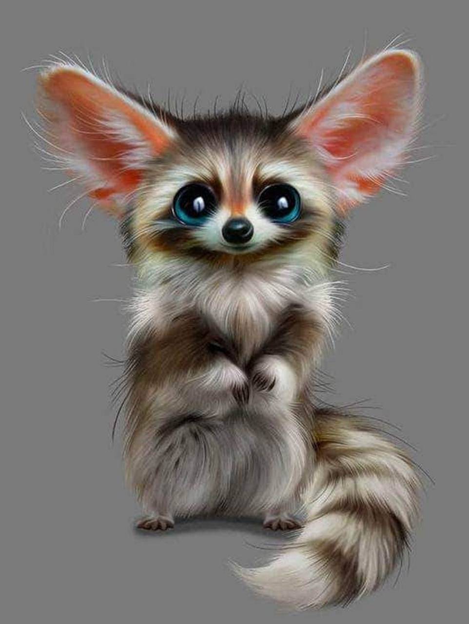 962x1280 Cute raccoon wallpaper