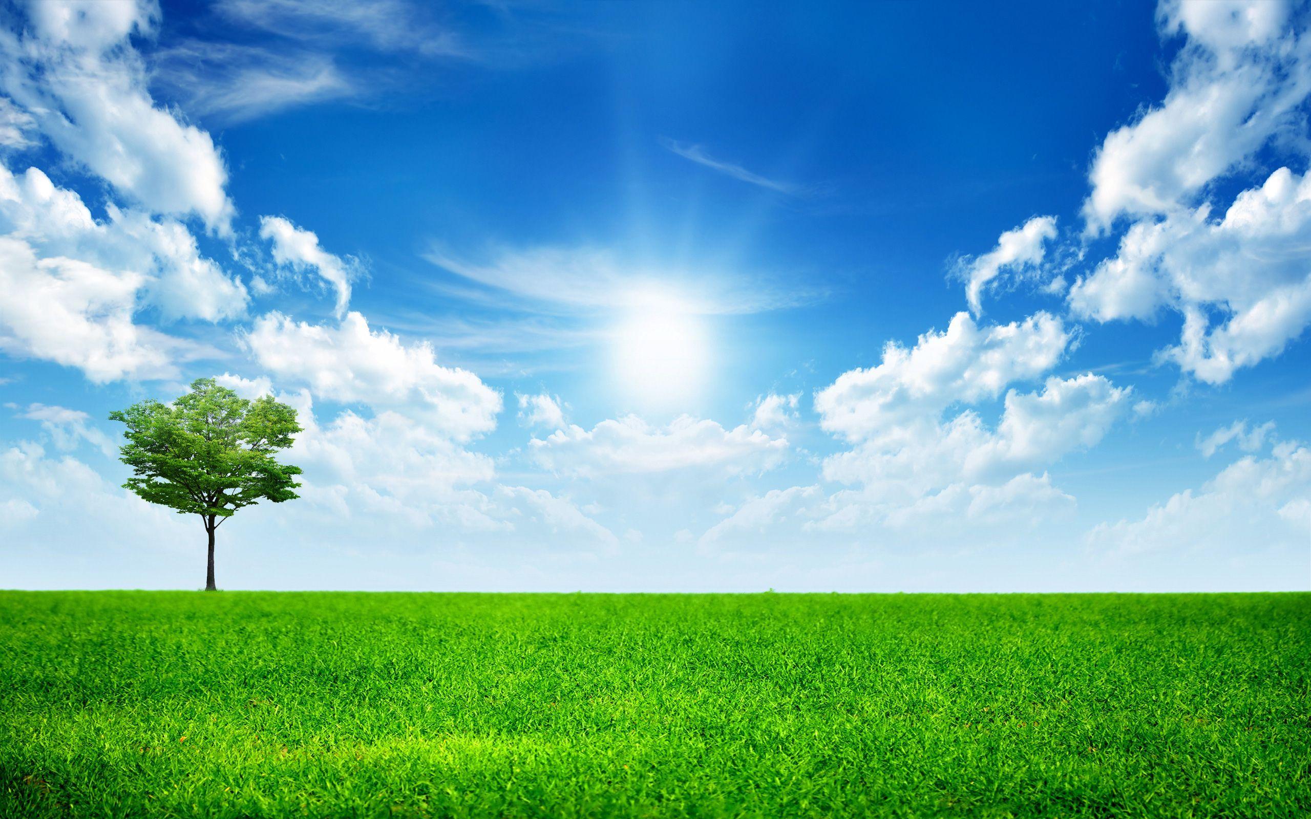 Grass And Sky Background Images HD Pictures and Wallpaper For Free  Download  Pngtree