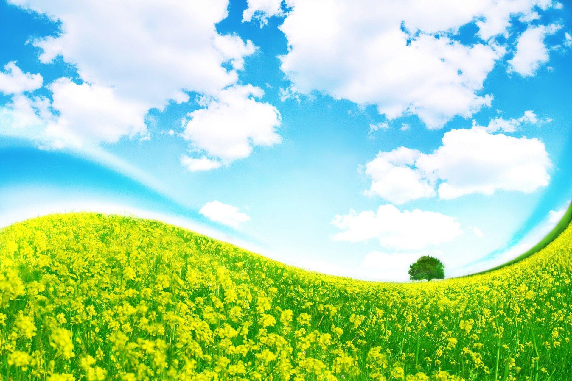 1920x1280 Grass Wallpaper