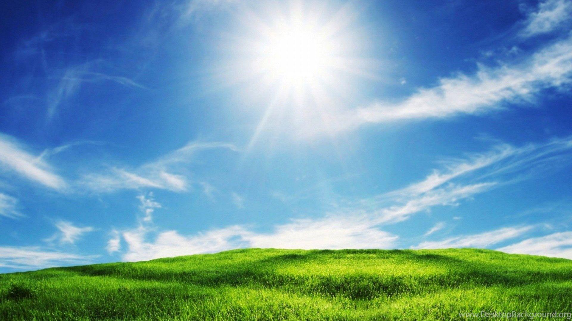 Sky and Grass Wallpapers - Top Free Sky and Grass Backgrounds ...