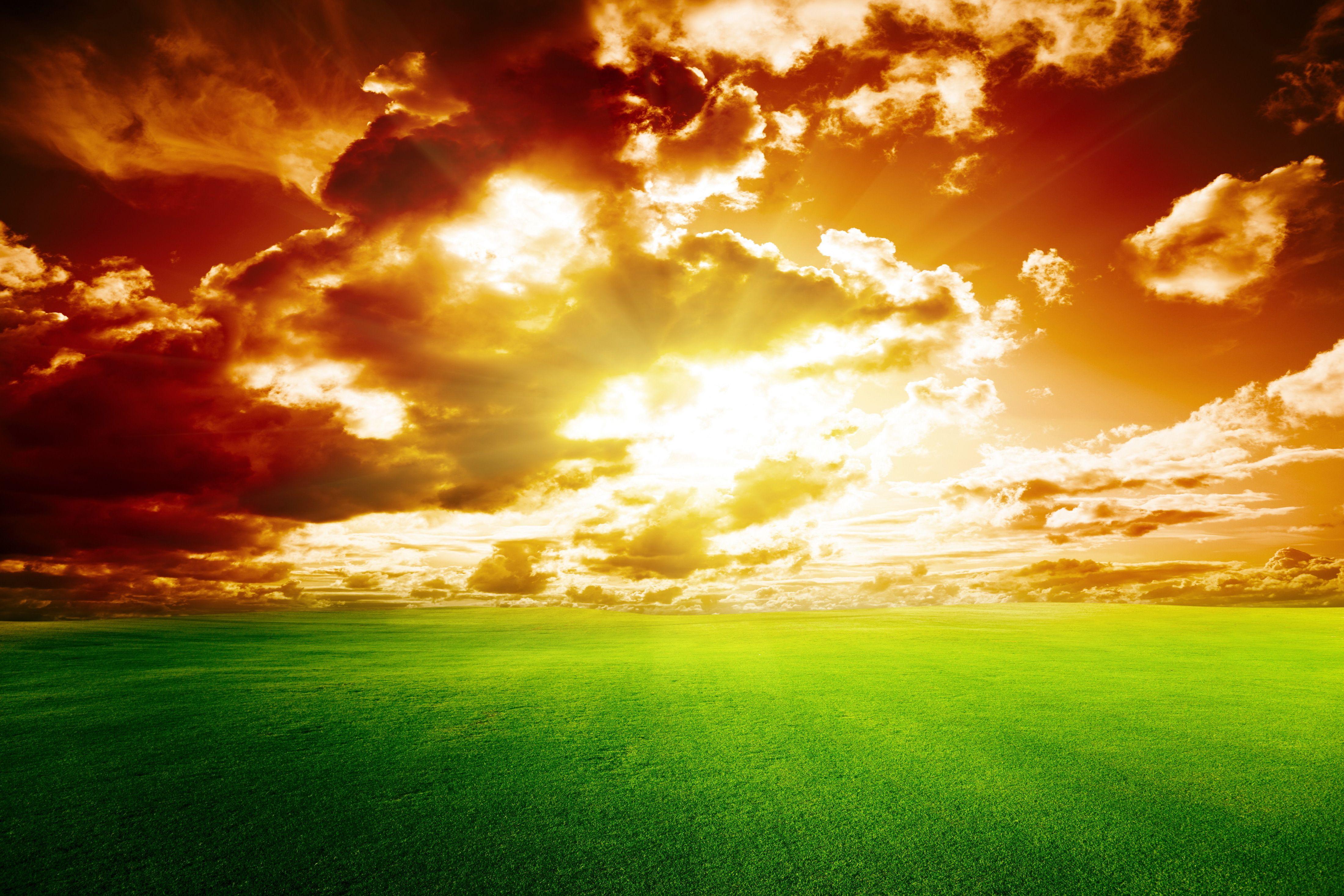 4400x2933 Wallpaper Sunset, Red Sky, Green grass, Perfect Sunset, 4K, Nature,. Wallpaper for iPhone, Android, Mobile and Desktop