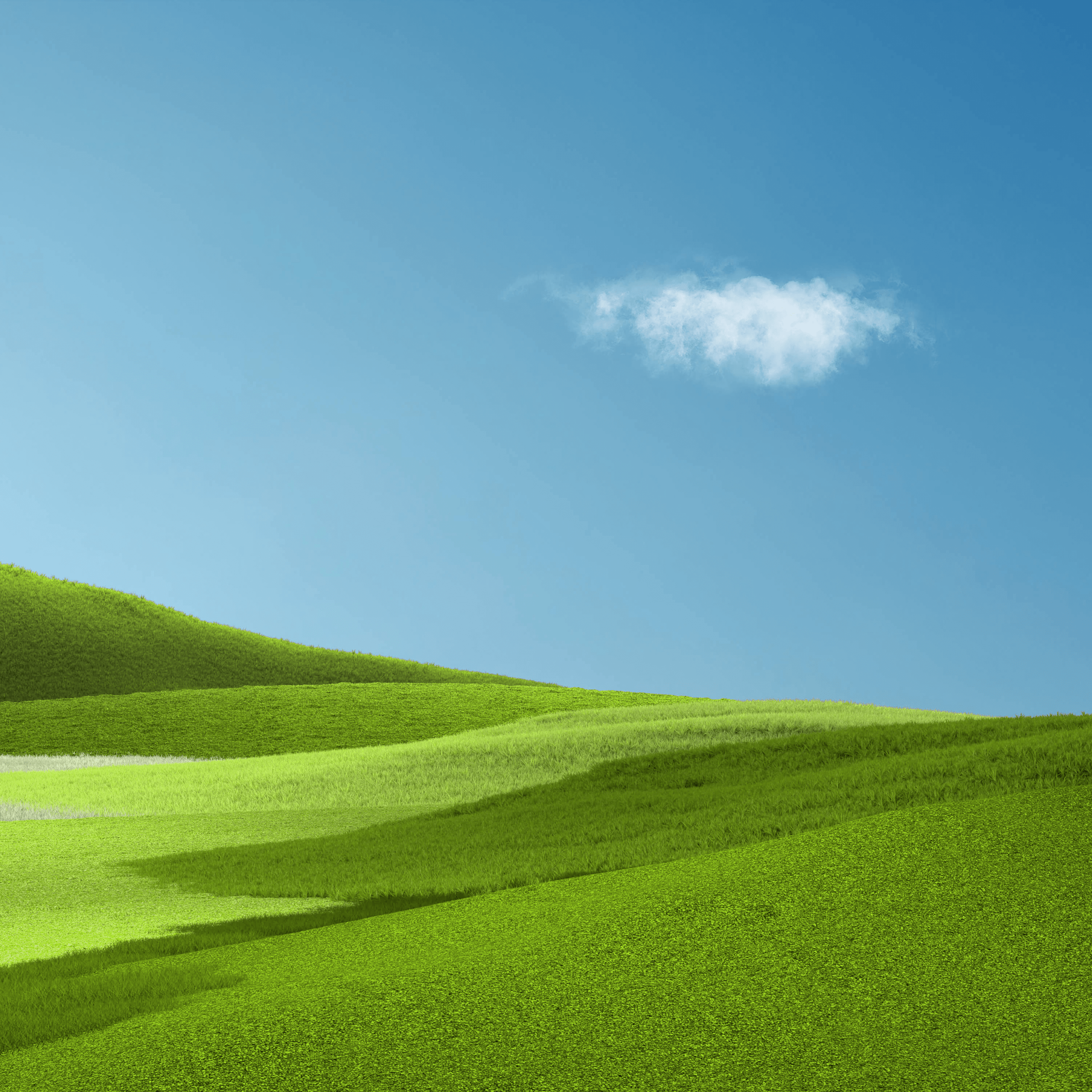 2560x2560 Landscape 4K Wallpaper, Grass field, Green Grass, Clear sky, Blue Sky, Microsoft Surface Pro X, Nature