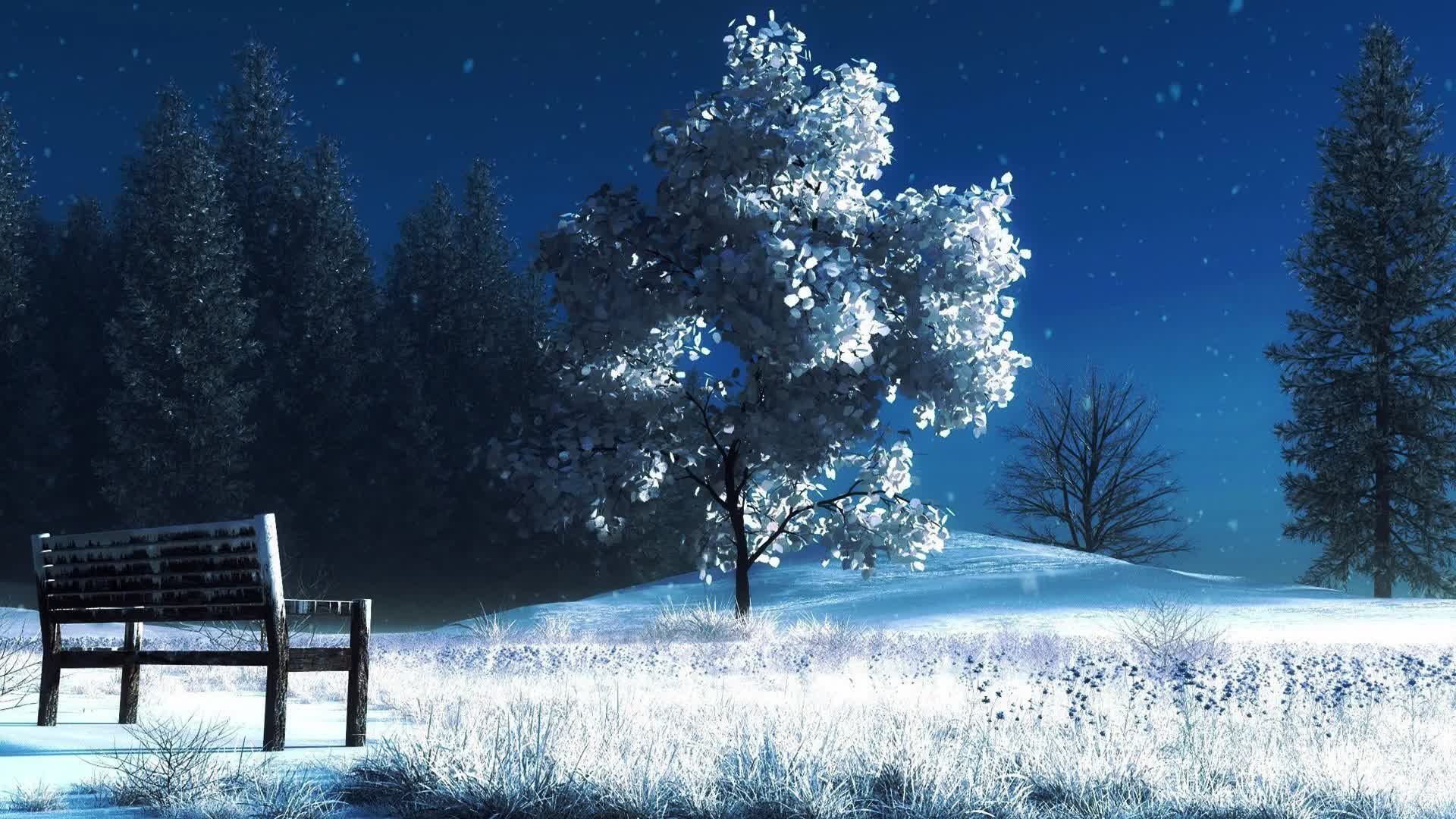 1920x1080 Park in Winter Snow Live Wallpaper