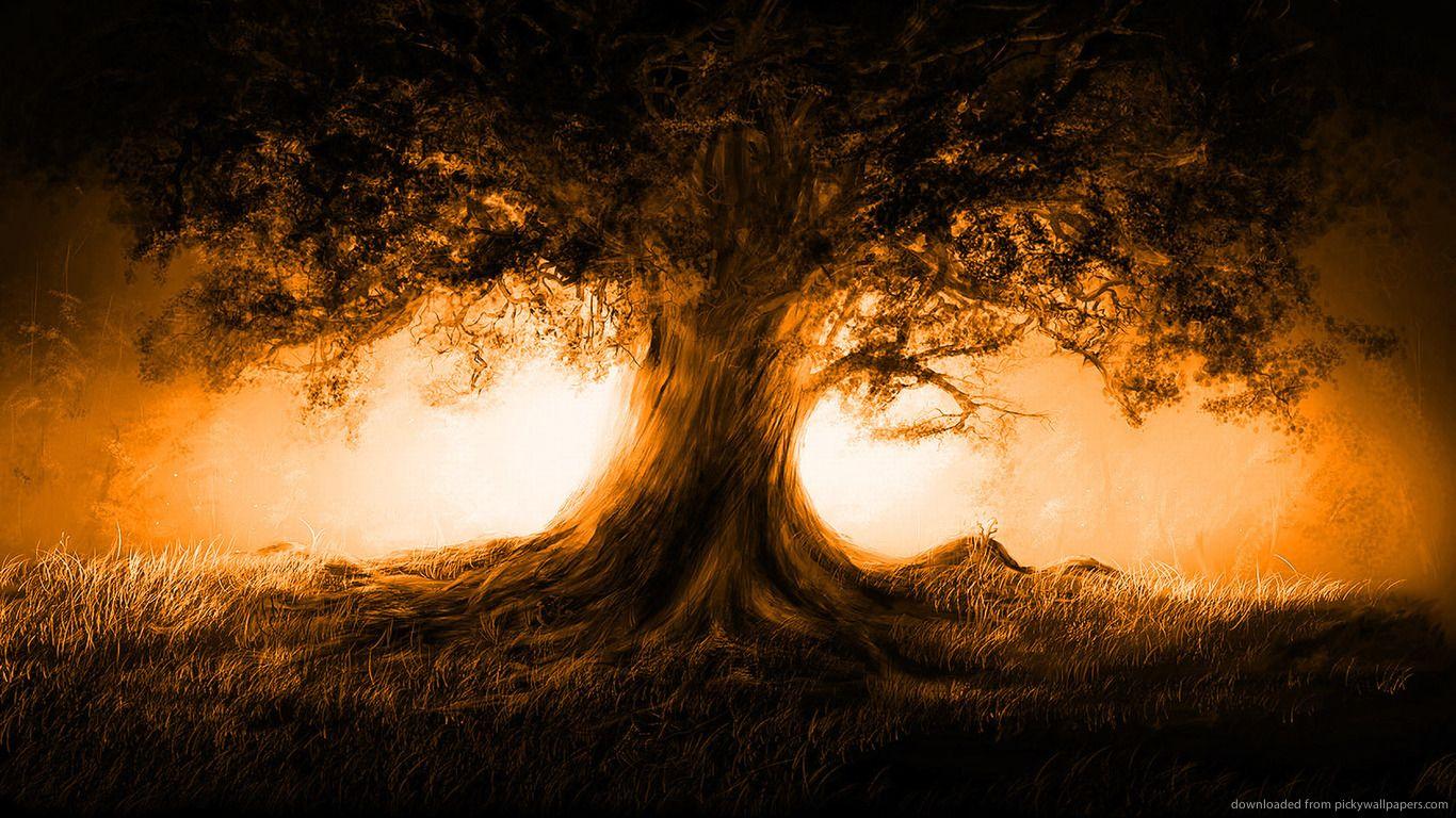 1366x768 Download 1366x768 Tree and an orange highlight wallpaper 442 - Orange Tree Wallpaper