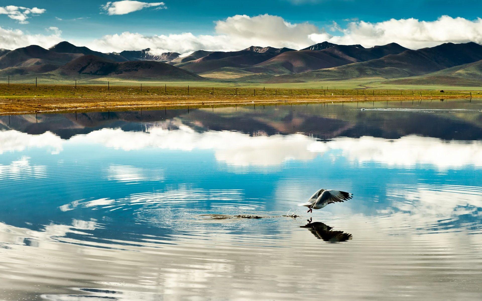 1920x1200 Lakes: Beautiful Lake Heights Tibet KnxFIvx Peaceful Birds Himalayas