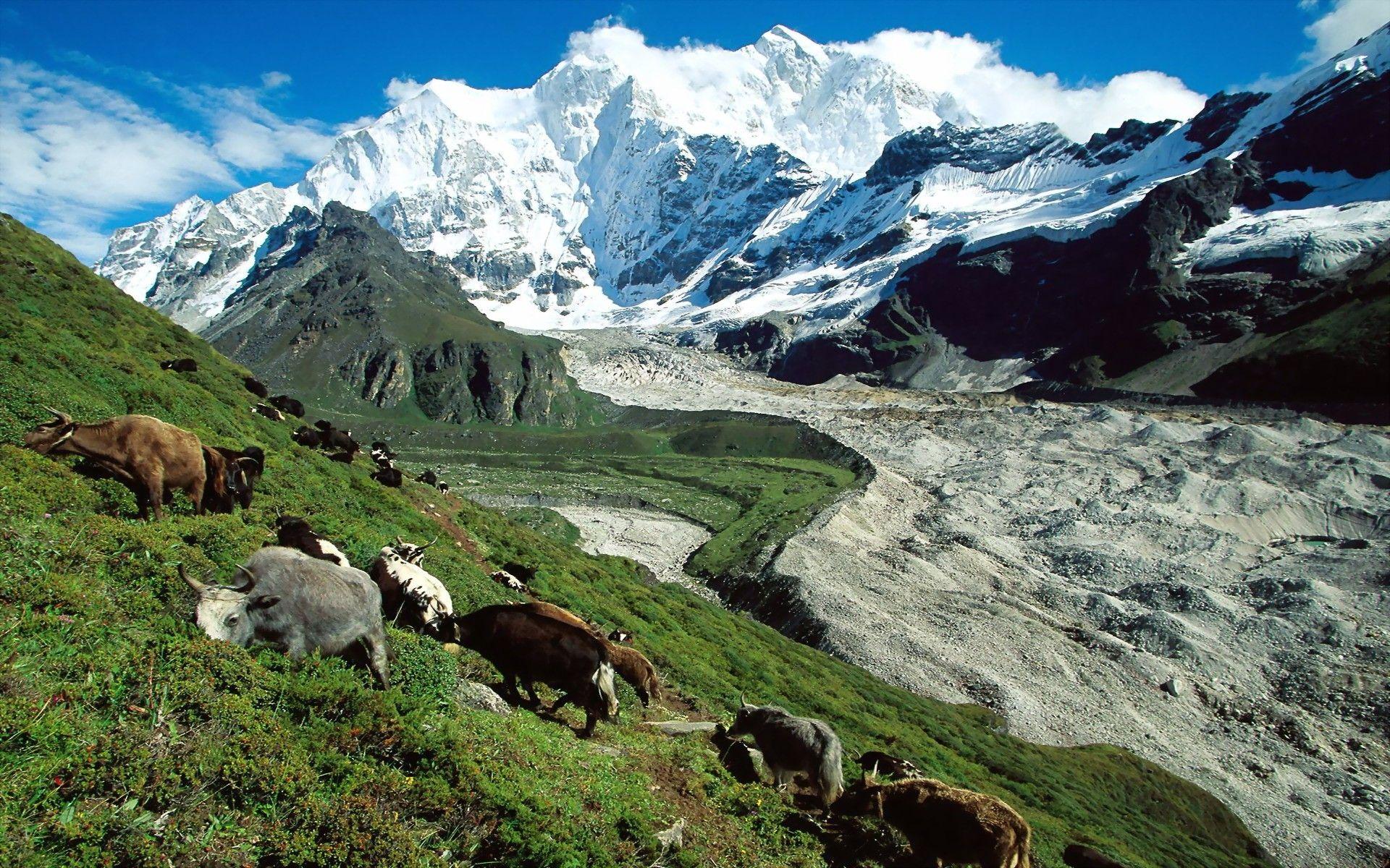1920x1200 Tibet Wallpaper HD