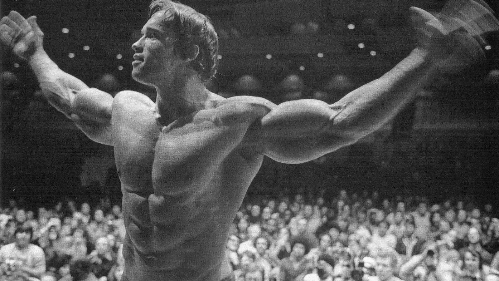 1600x900 Arnold Schwarzenegger Wallpaper HD / Desktop and Mobile Background