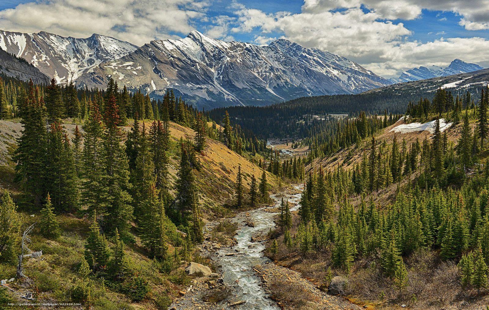 1600x1016 Download wallpaper Canadian Rockies, Mountains, river, trees free desktop wallpaper in the resolution 2048x1300