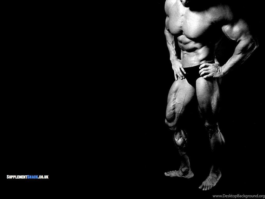 1024x768 Download Free HD Wallpaper : Arnold Schwarzenegger Conquer. Desktop Background