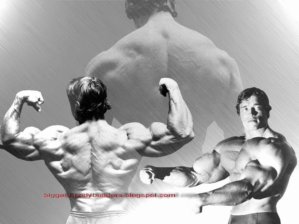 1024x768 Arnold Schwarzenegger Wallpaper New Biggest Body Builders Arnold Schwarzenegger Wallpaper HD Ideas of The Hudson