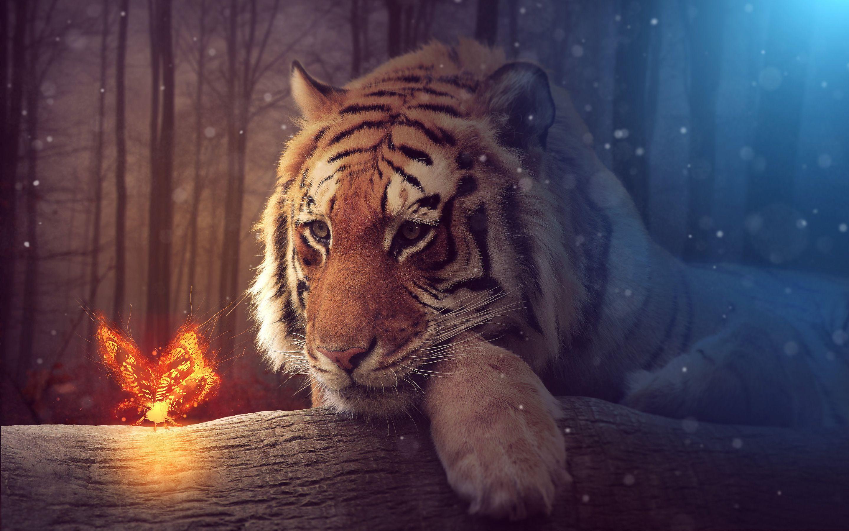 2880x1800 Big Tiger Wallpaper