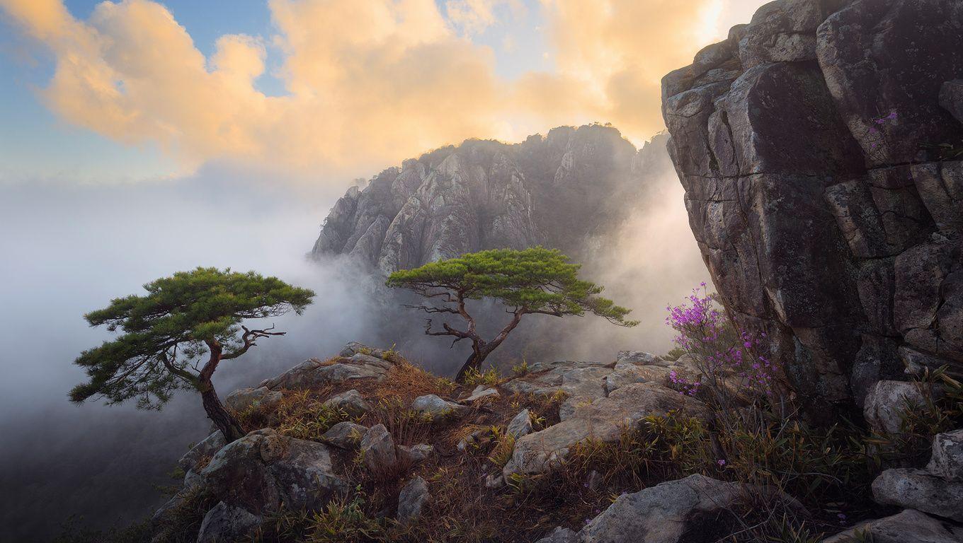 Korean Laptop Wallpapers - Top Free Korean Laptop Backgrounds