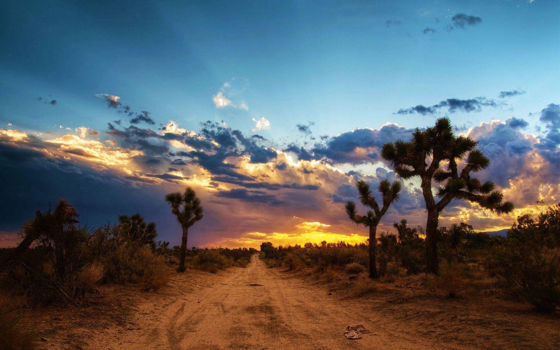 1920x1200 Mojave Desert HD Wallpaper and Background Image