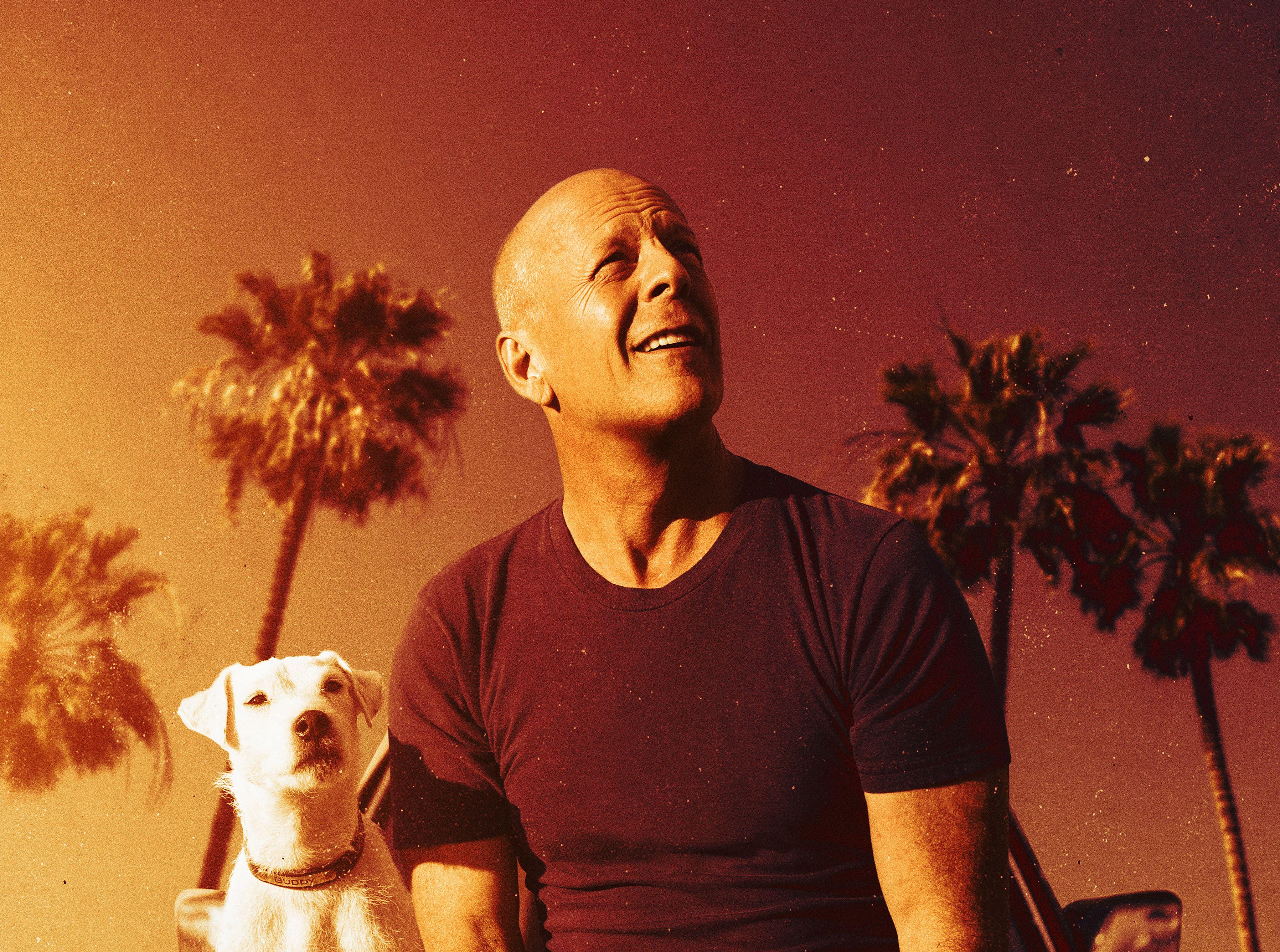 4088x3042 Bruce Willis With Dog In Once Upon A Time In Venice 4k, HD Movies, 4k Wallpaper, Image, Background, Photo and Picture
