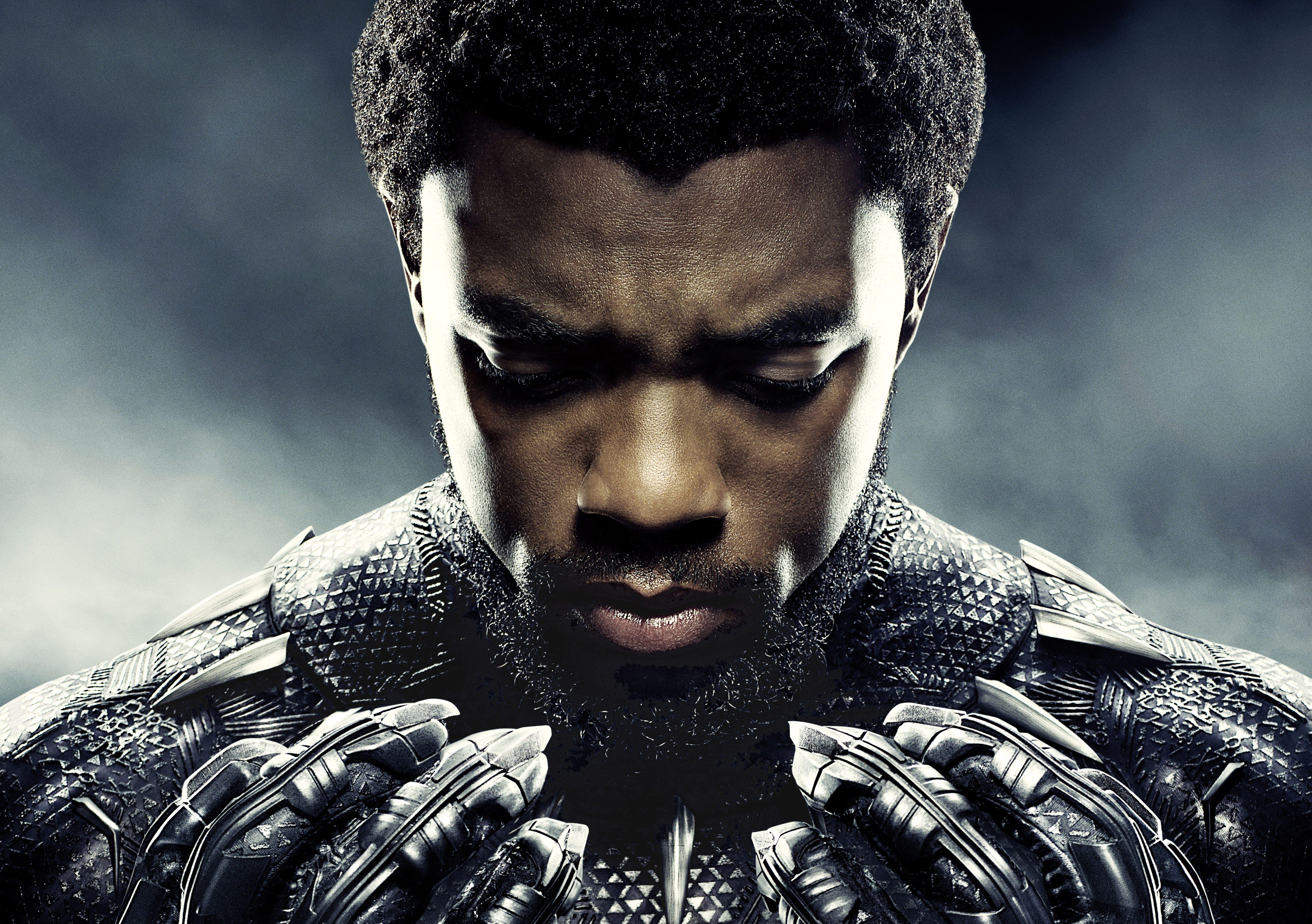 6000x4227 Chadwick Boseman As Black Panther 5k, HD Movies, 4k Wallpaper, Image, Background, Photo and Picture
